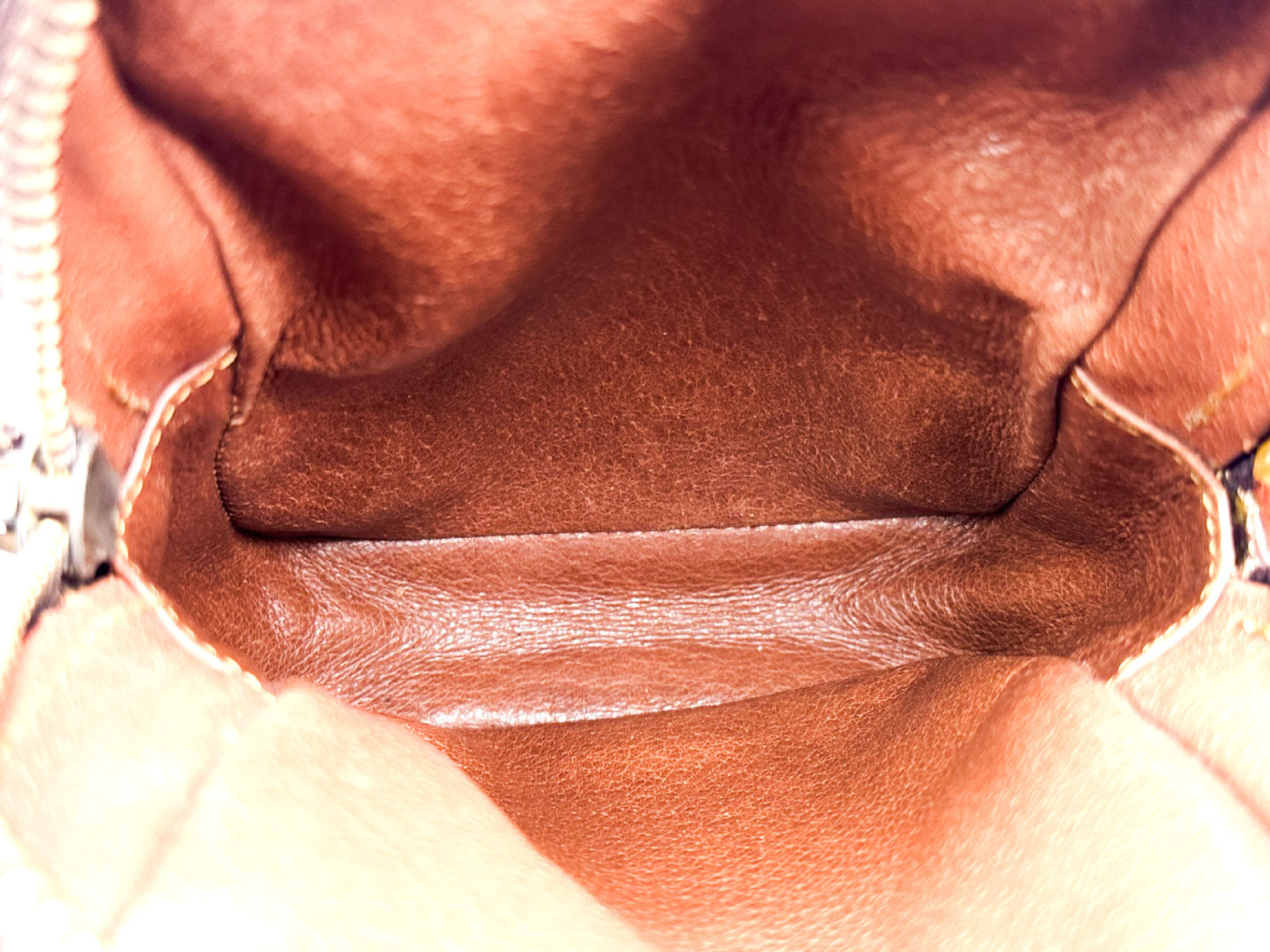 Monogram Mini Danube Shoulder Bag — view 11