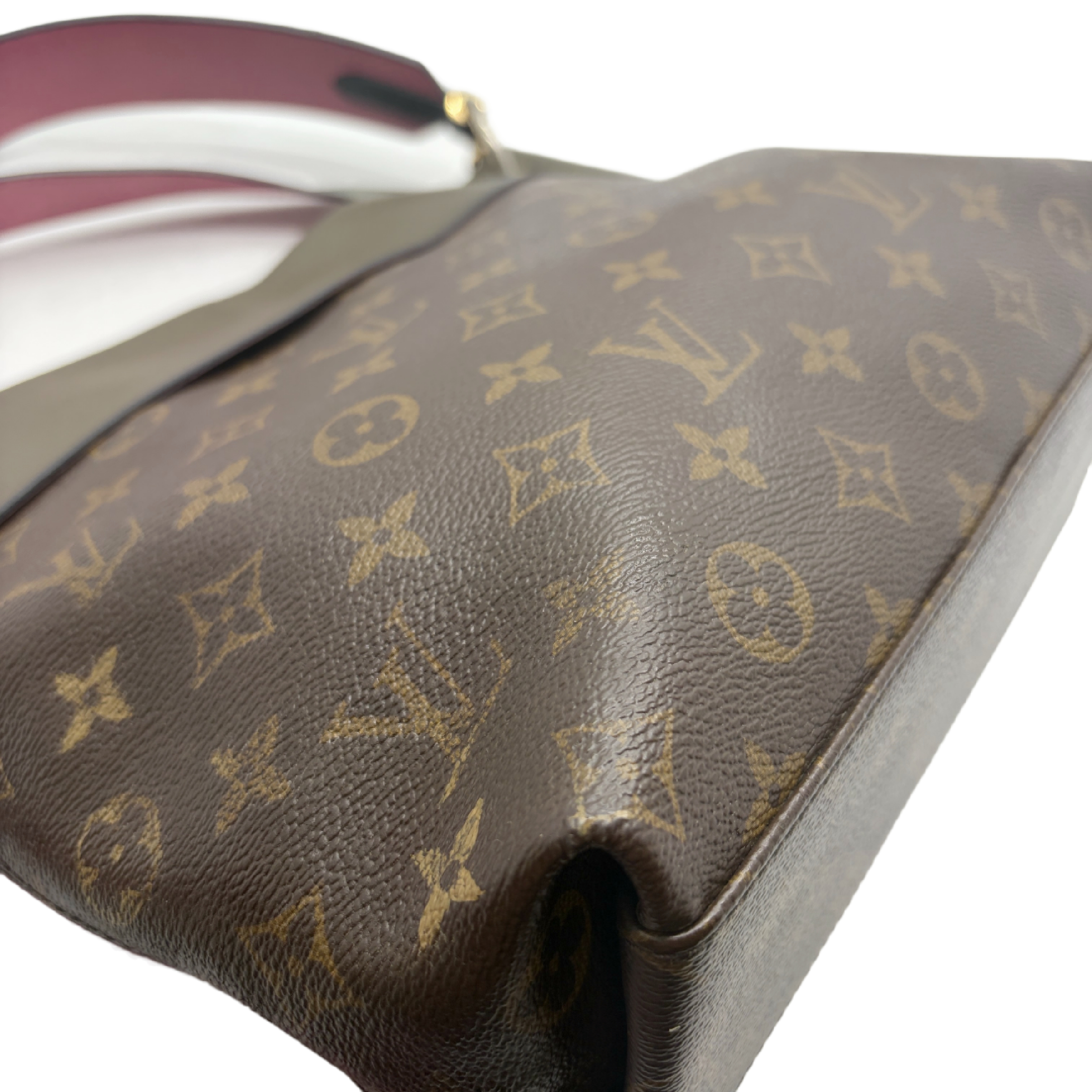 Monogram Tuileries Besace 2-way Shoulder Bag — view 8