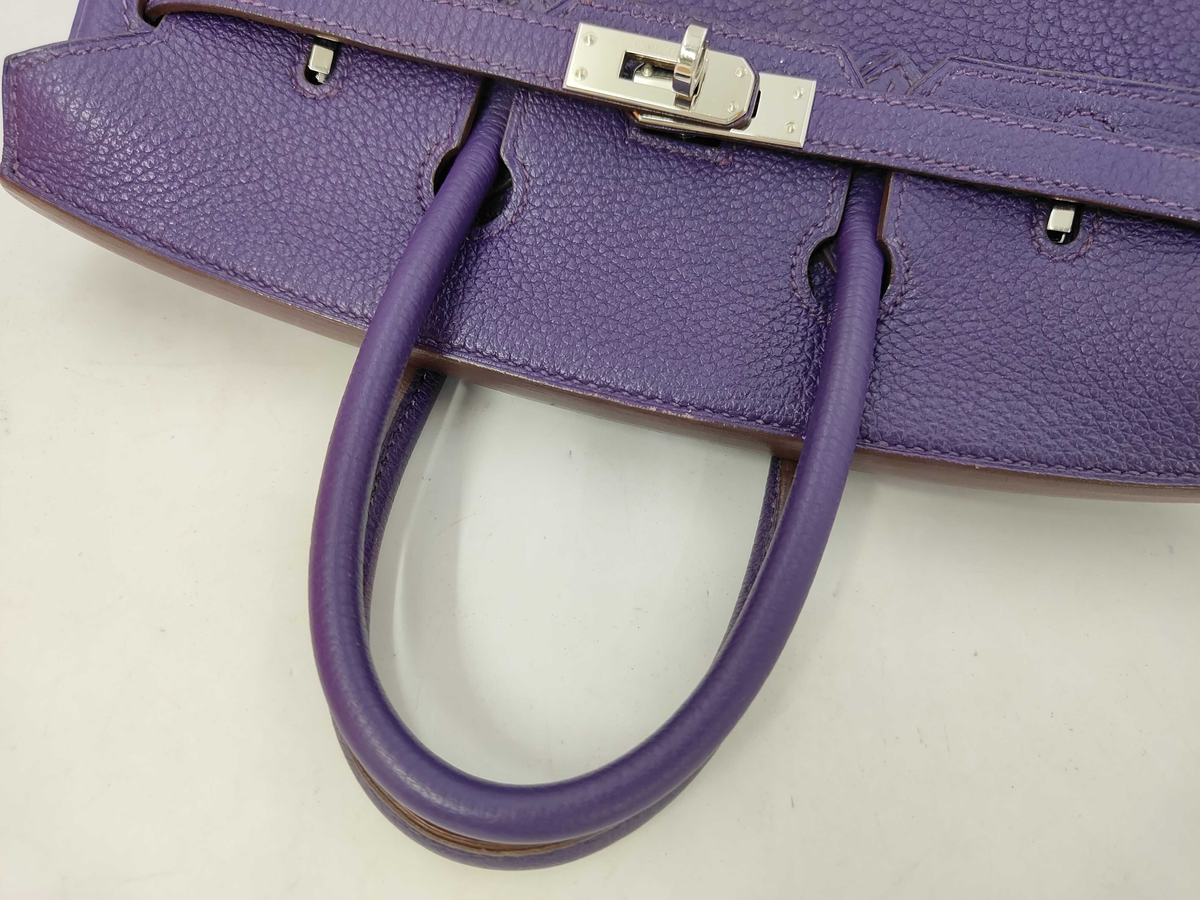 Birkin 25 Togo Iris Silver Hardware N Stamp Handbag — view 5