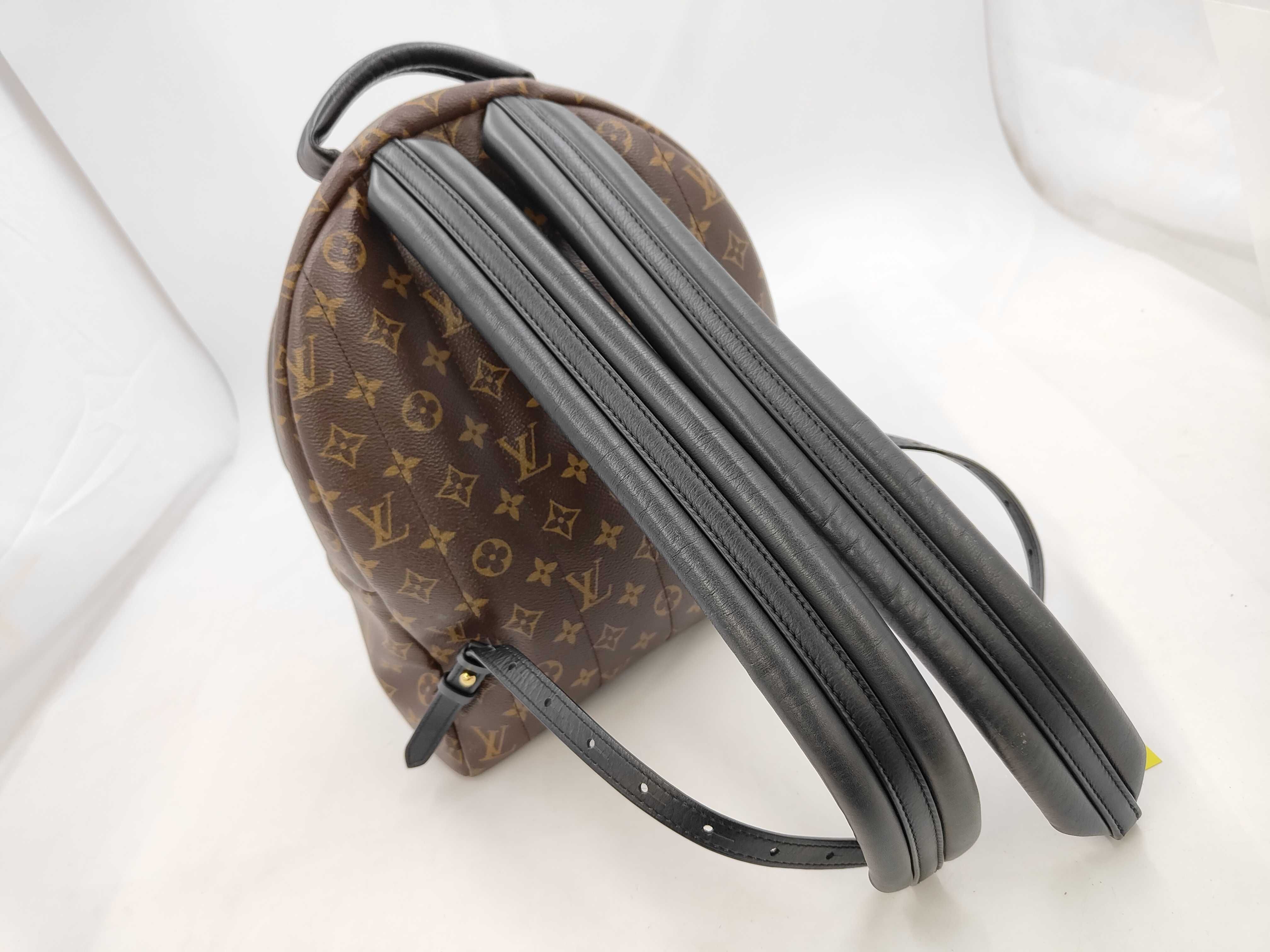 Monogram Palm Springs MM Backpack — view 4