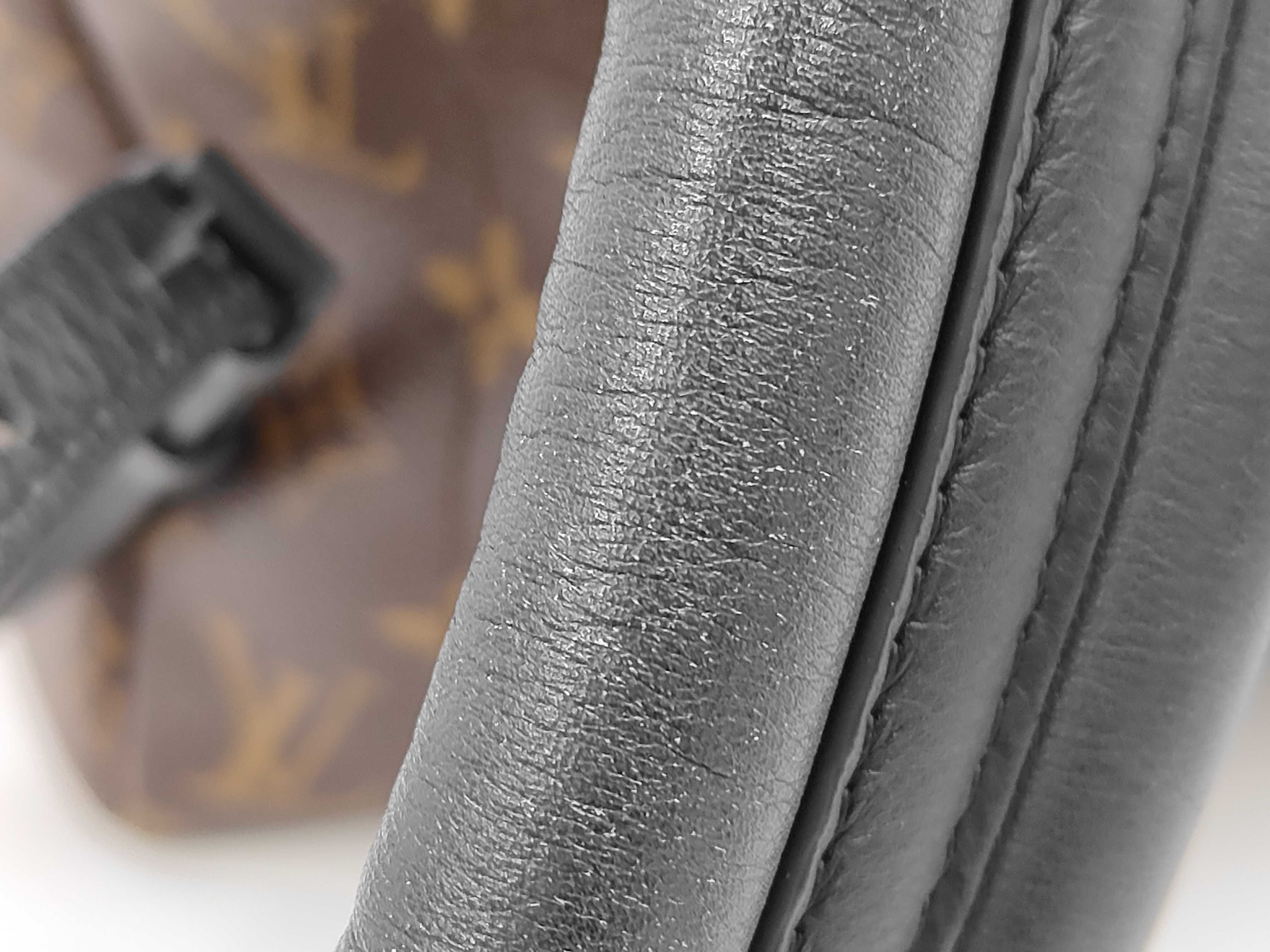 Monogram Palm Springs MM Backpack — view 5