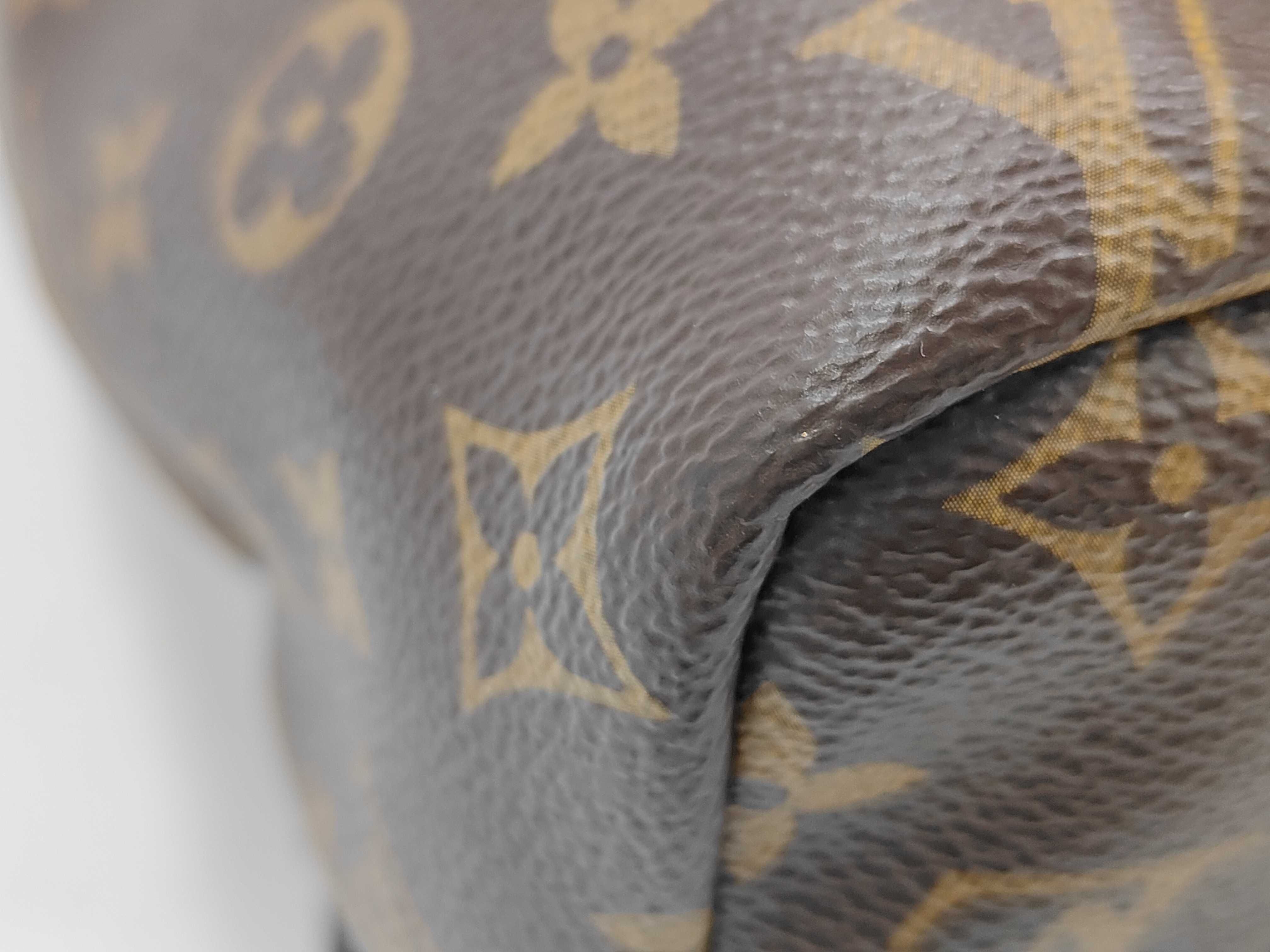 Monogram Palm Springs MM Backpack — view 6