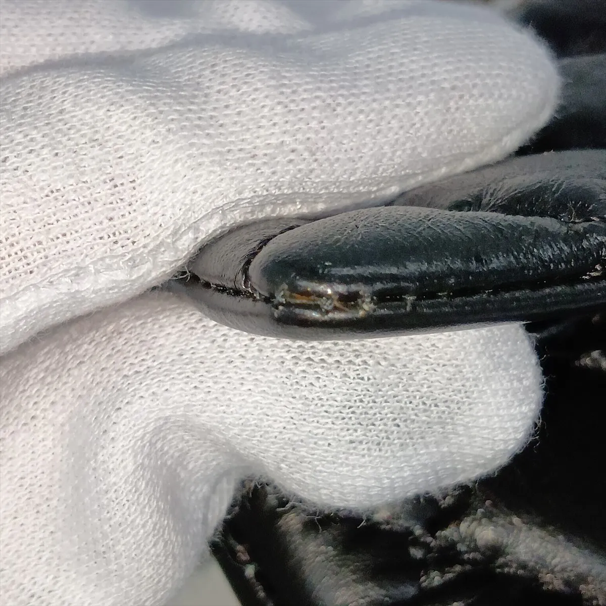 2.55 Vintage Calfskin Waist Pouch, Black with Gold Hardware, 27556983, Serial Number 27 — view 13