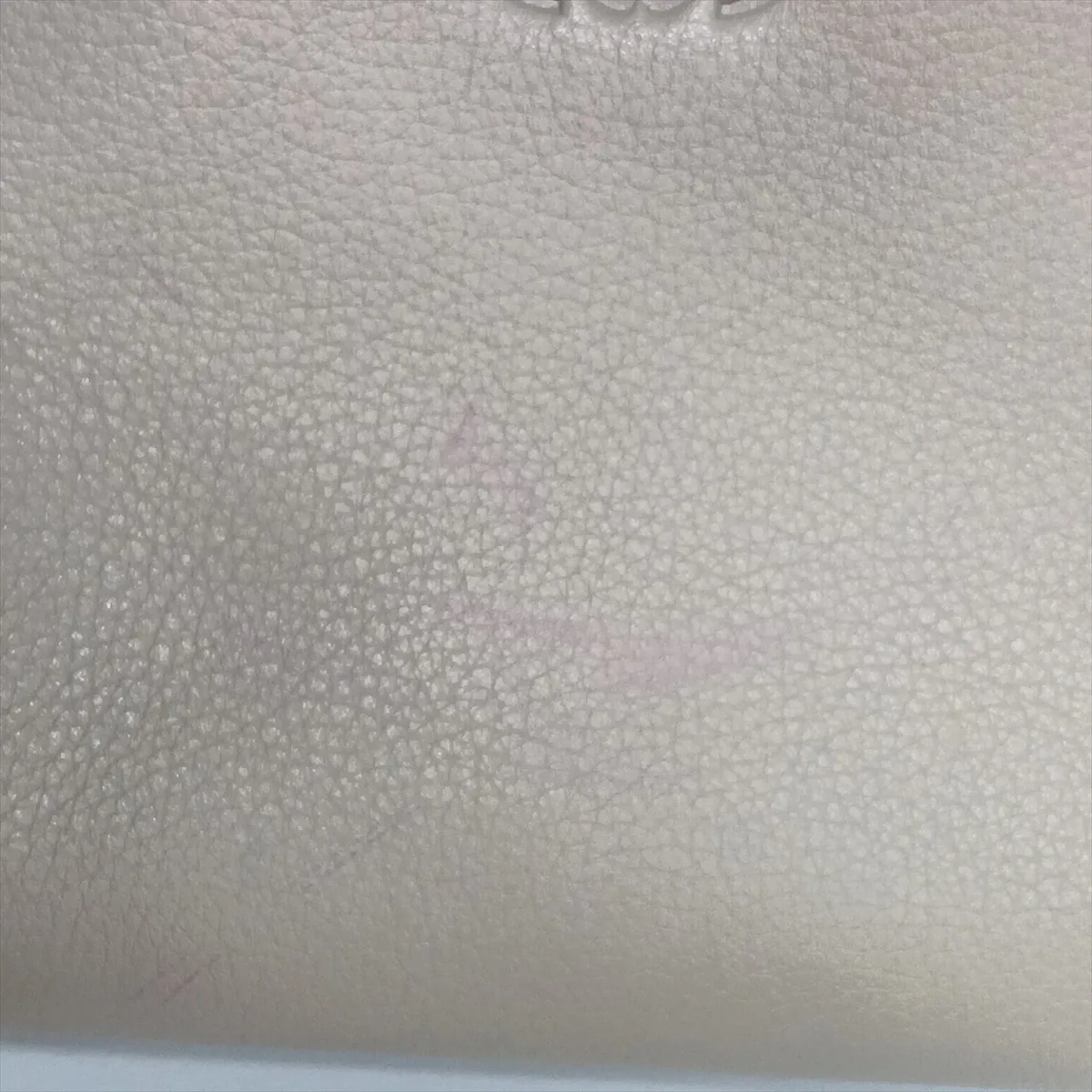 Amazona 28 Leather Handbag, Multicolor — view 14