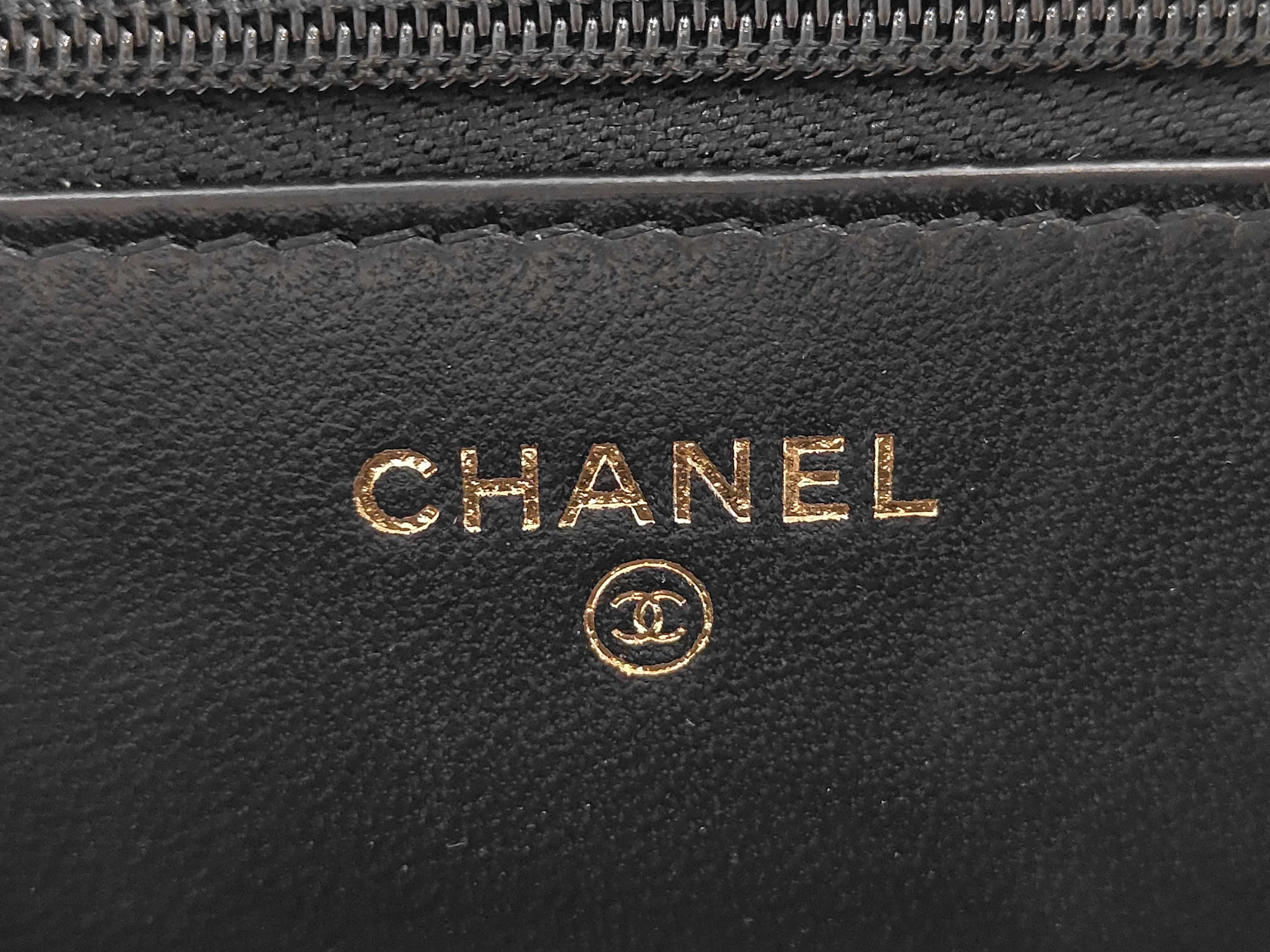 WOC Chain Shoulder Bag — view 10