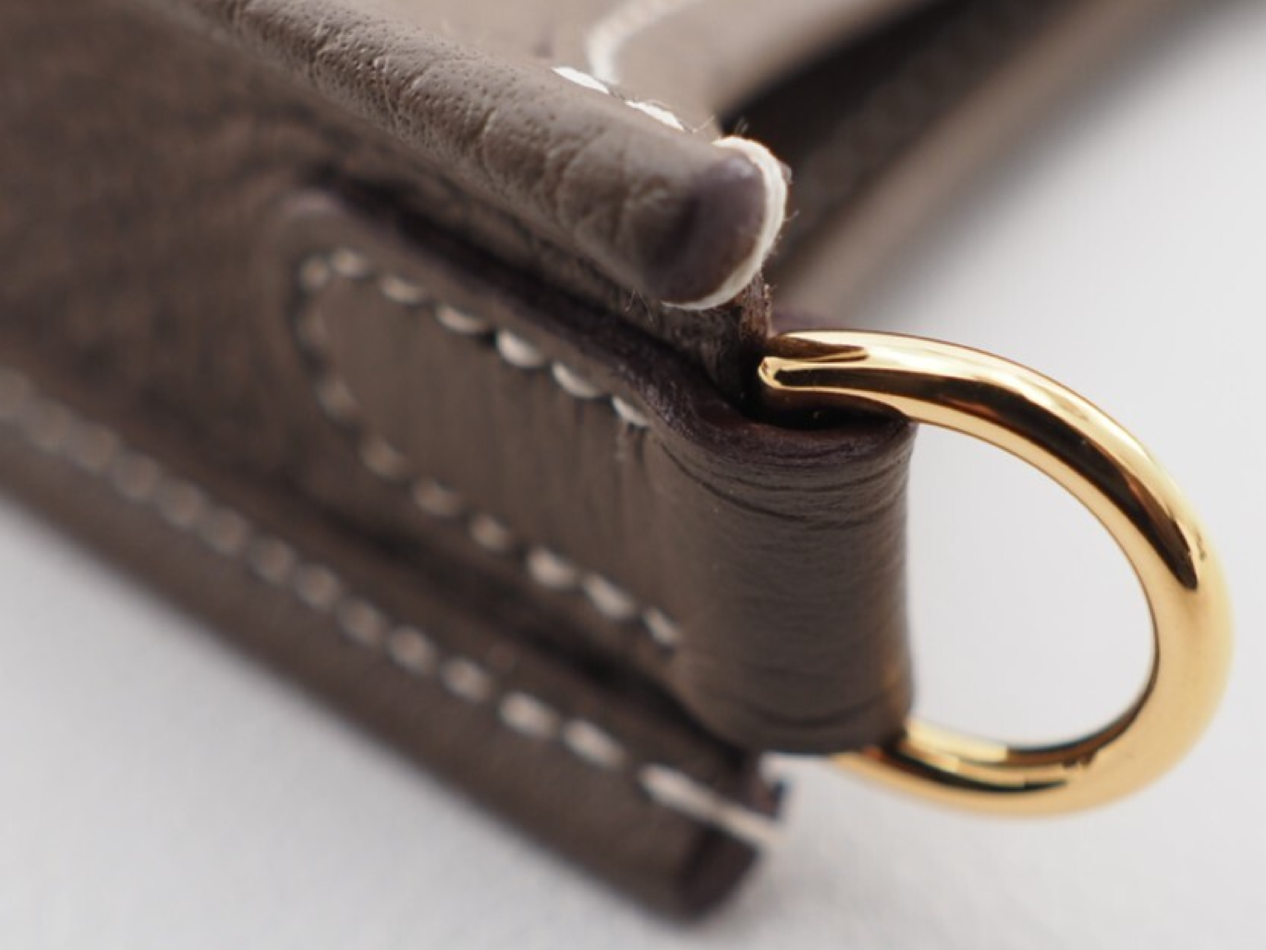 Evelyne TPM 2024 Shoulder Bag in Etoupe with Gold Hardware — view 6