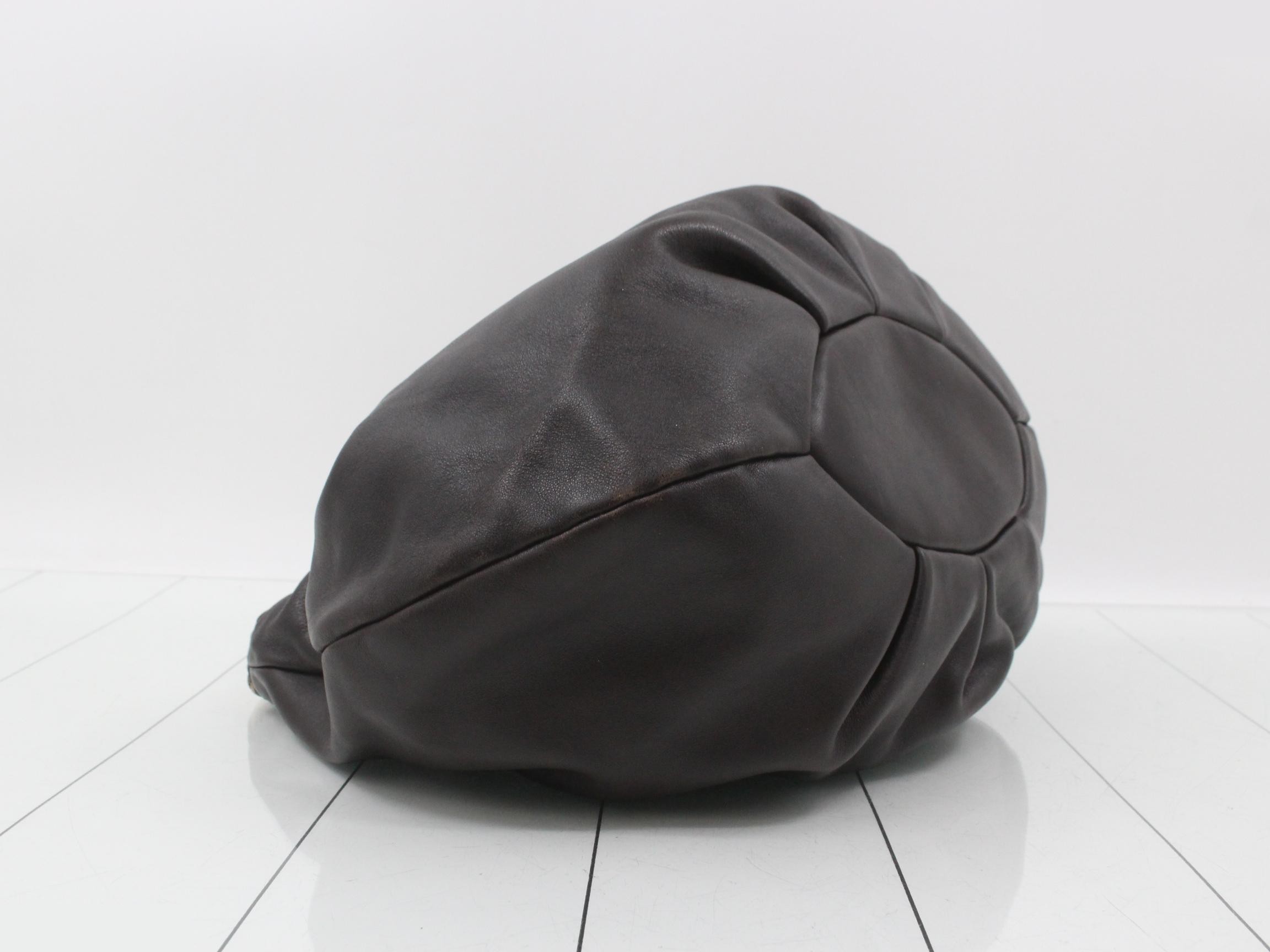 Python bag — view 5