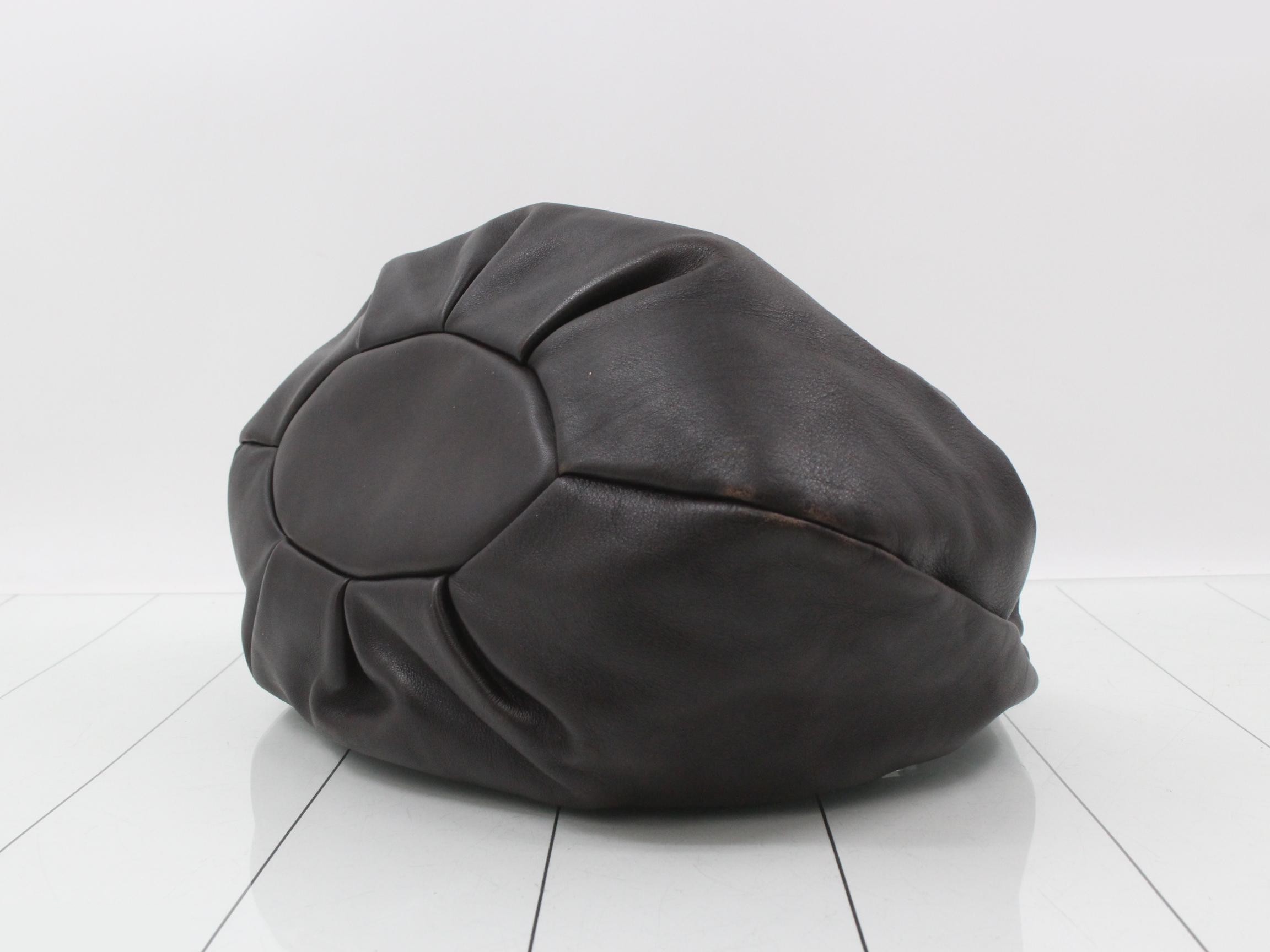 Python bag — view 6