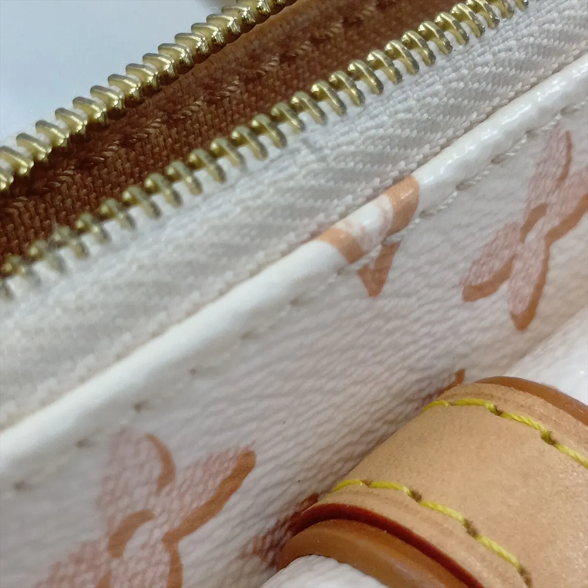 Monogram Maxi Pochette Accessoires M20920 Beige (RFID detected) — view 12