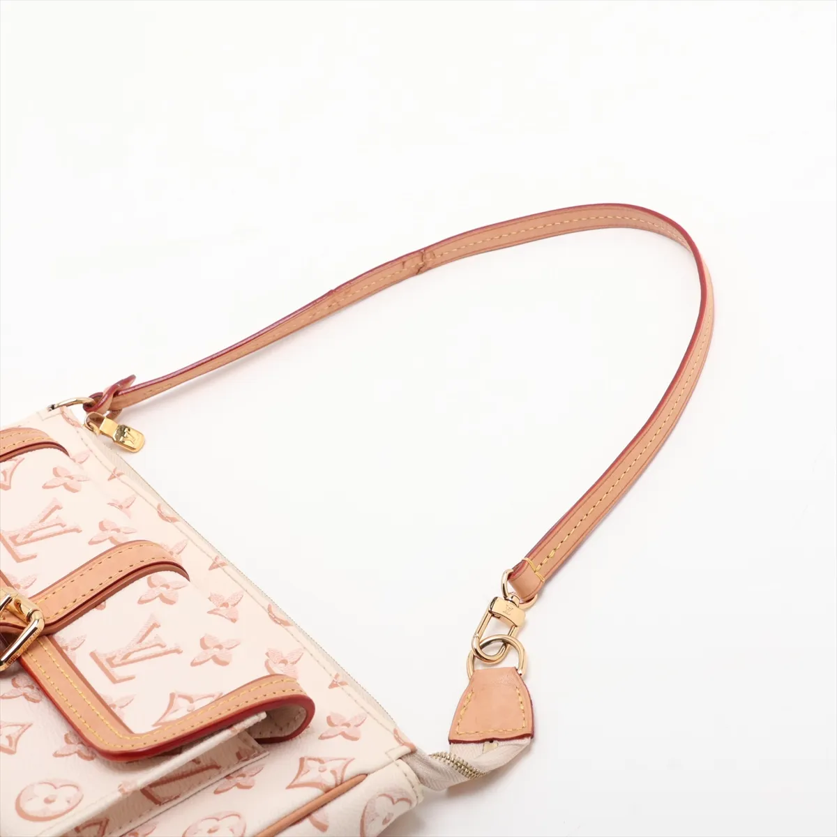 Monogram Maxi Pochette Accessoires M20920 Beige (RFID detected) — view 5