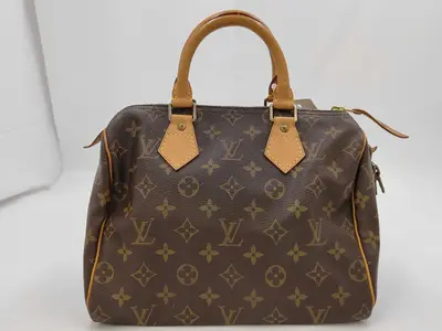 Monogram Speedy Handbag