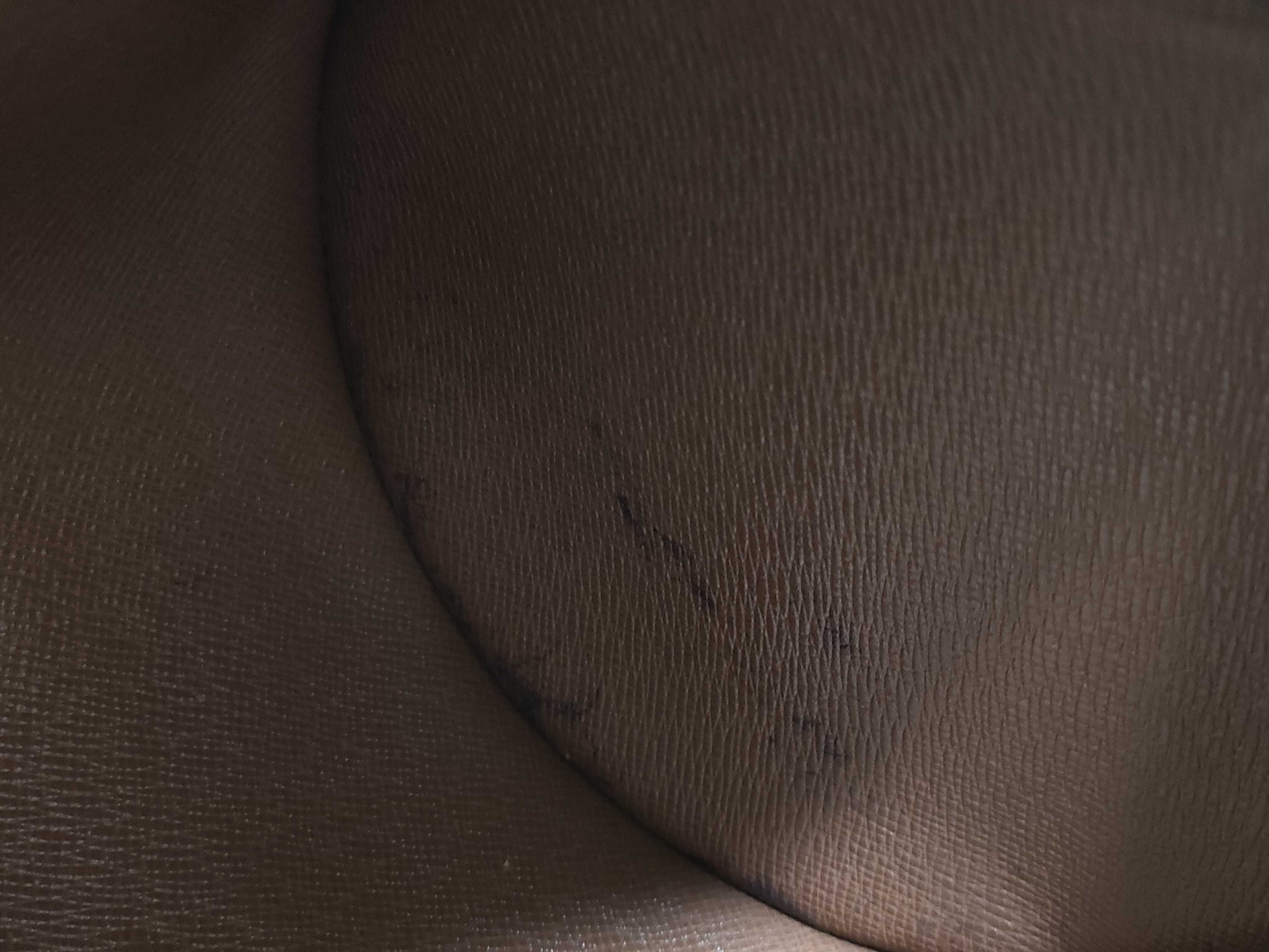 Monogram LV. Papillon Handbag — view 13
