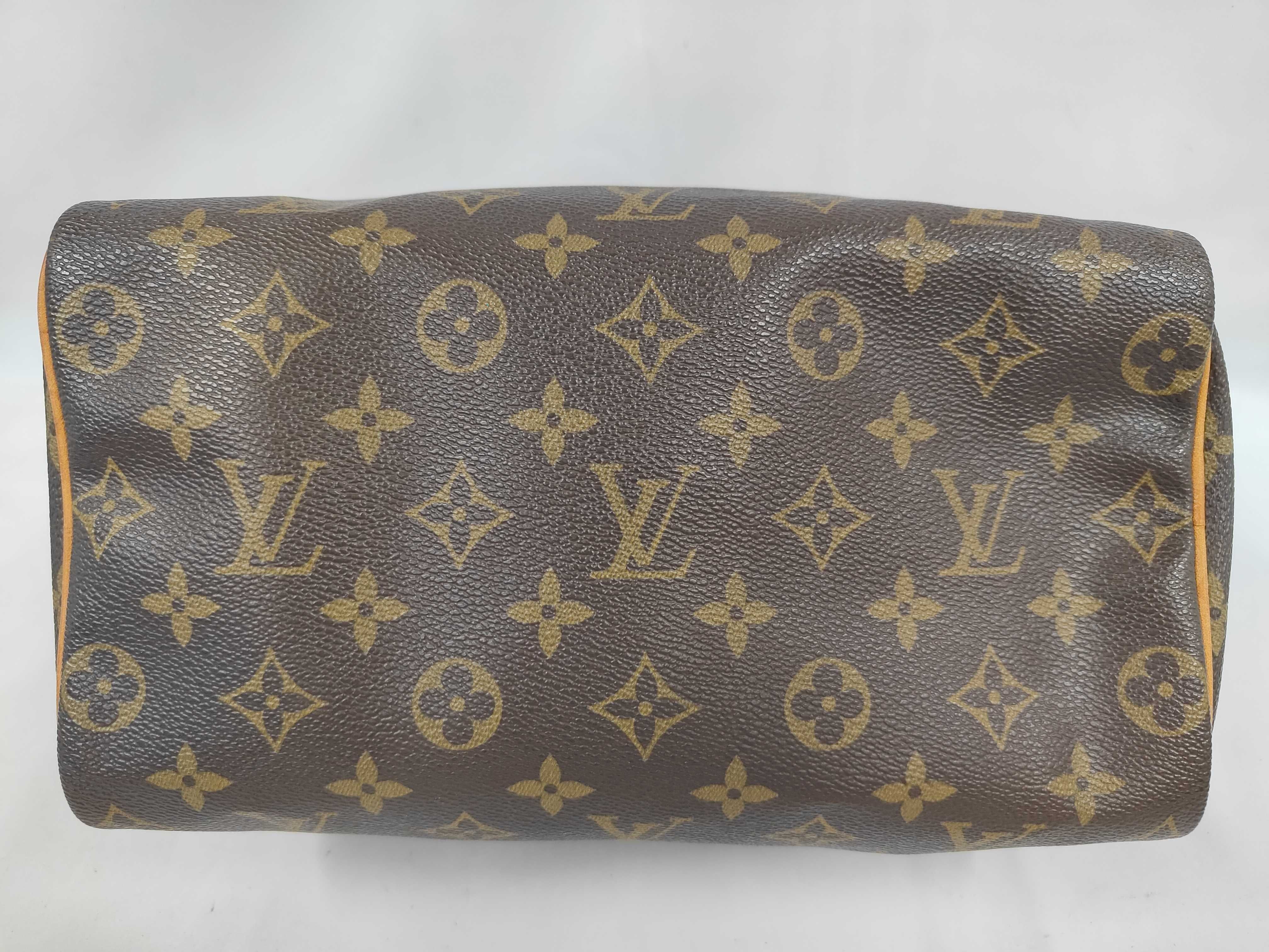 Speedy 25 M41528 VI0972 Handbag — view 4