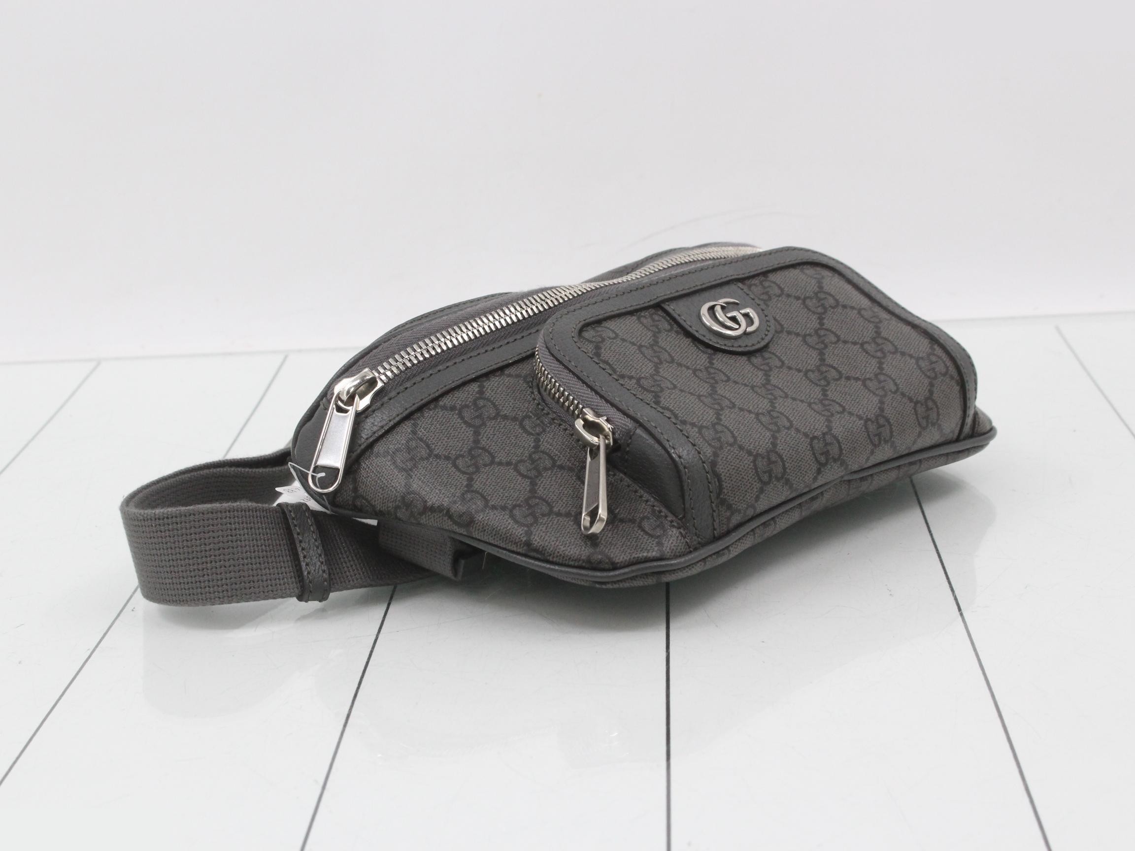 733868 Ophidia GG Belt Bag — view 5