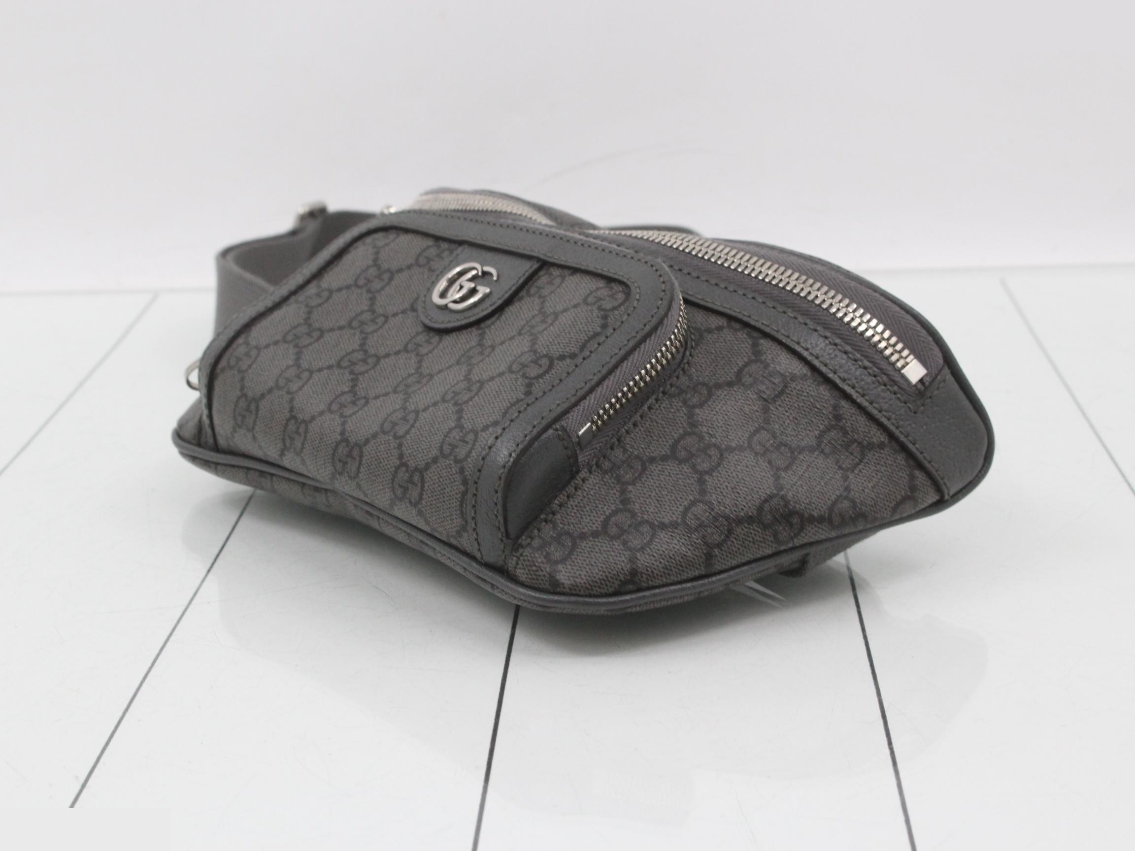 733868 Ophidia GG Belt Bag — view 6