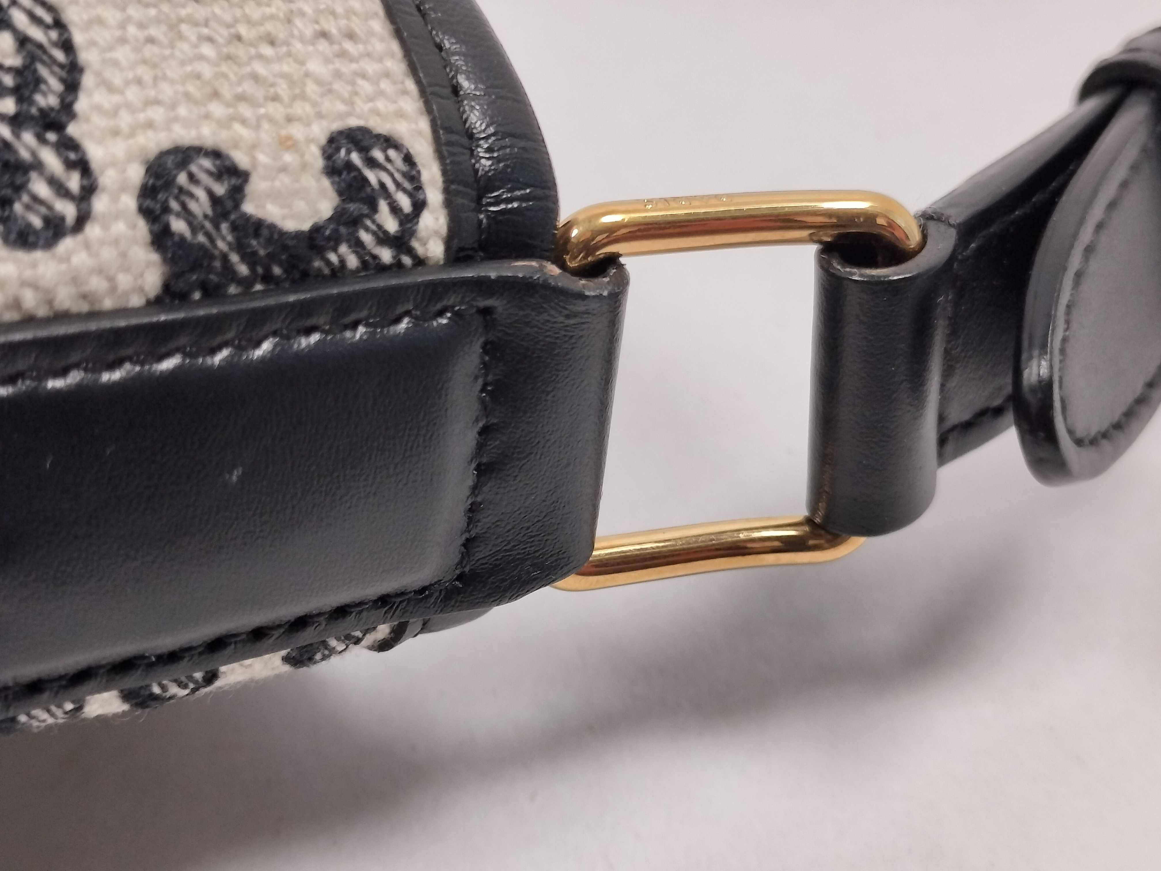 Black and White Canvas Triomphe Bucket Shoulder Bag — view 5
