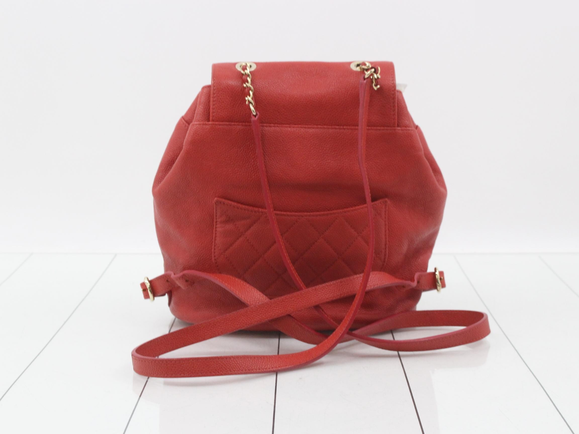 Caviskin Backpack — view 2