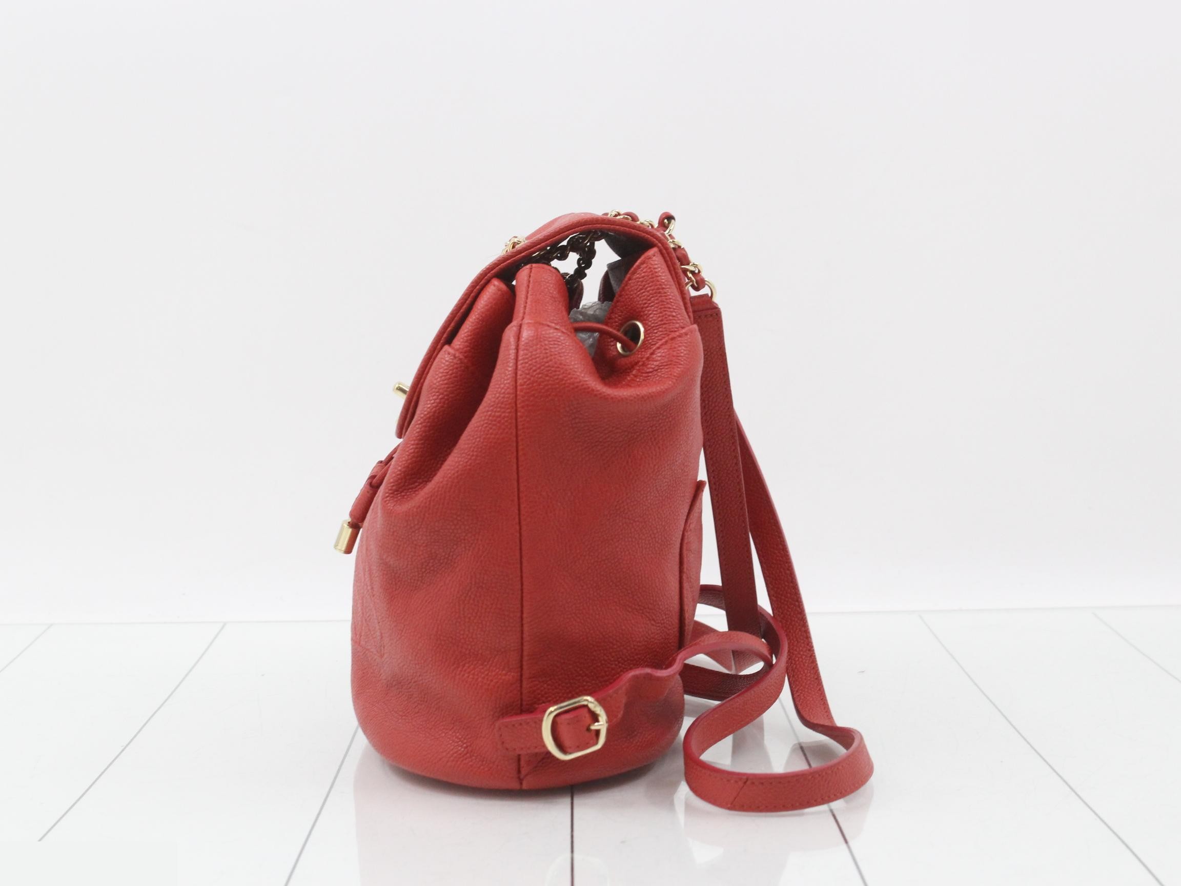 Caviskin Backpack — view 3