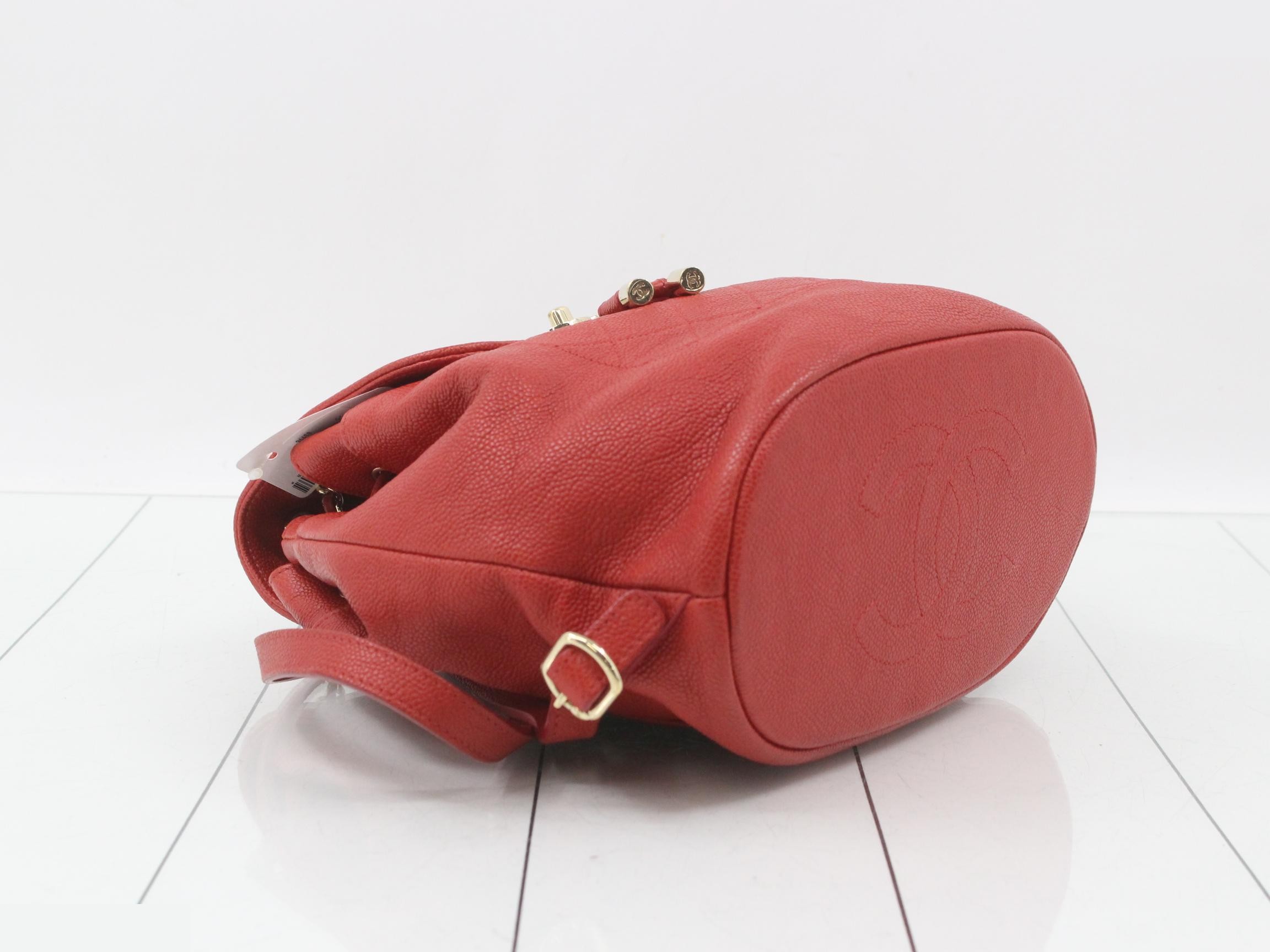 Caviskin Backpack — view 5