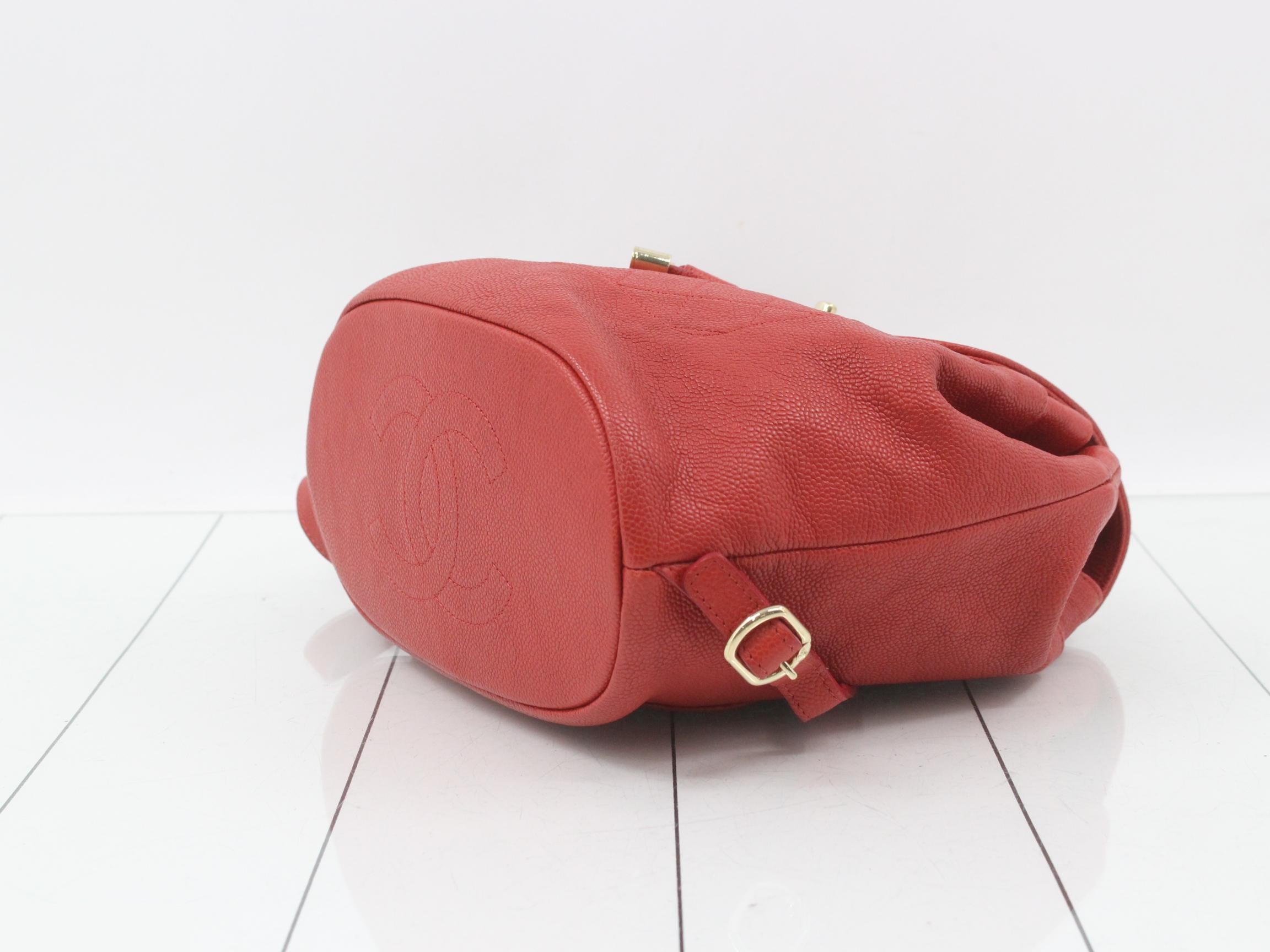 Caviskin Backpack — view 6