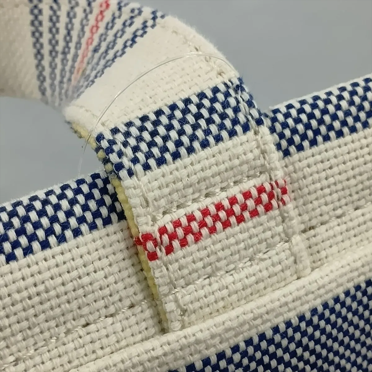 Triomphe Canvas x Leather Tote Bag, Blue x White — view 11