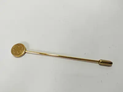 pin brooch