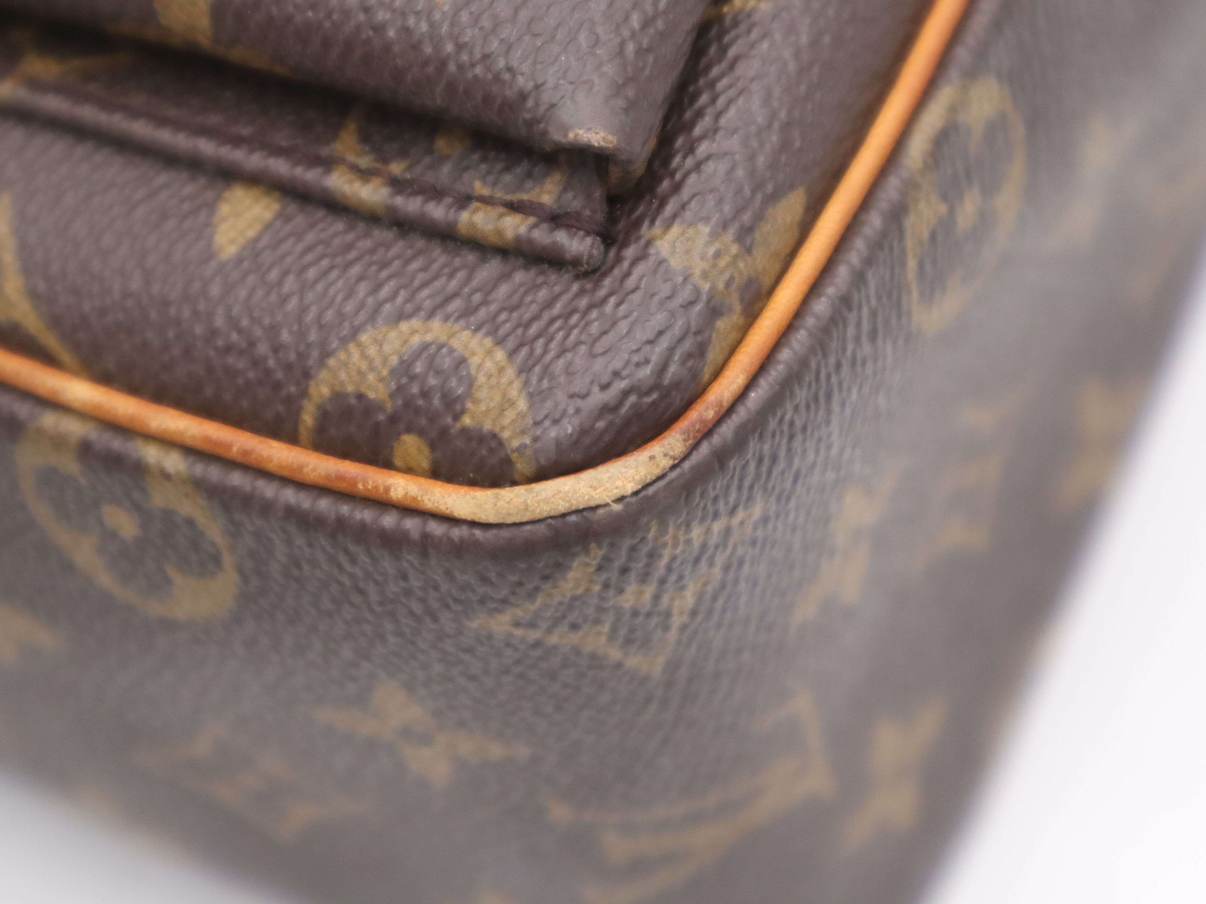 M51163 Monogram Viva Cite GM Shoulder Bag — view 11