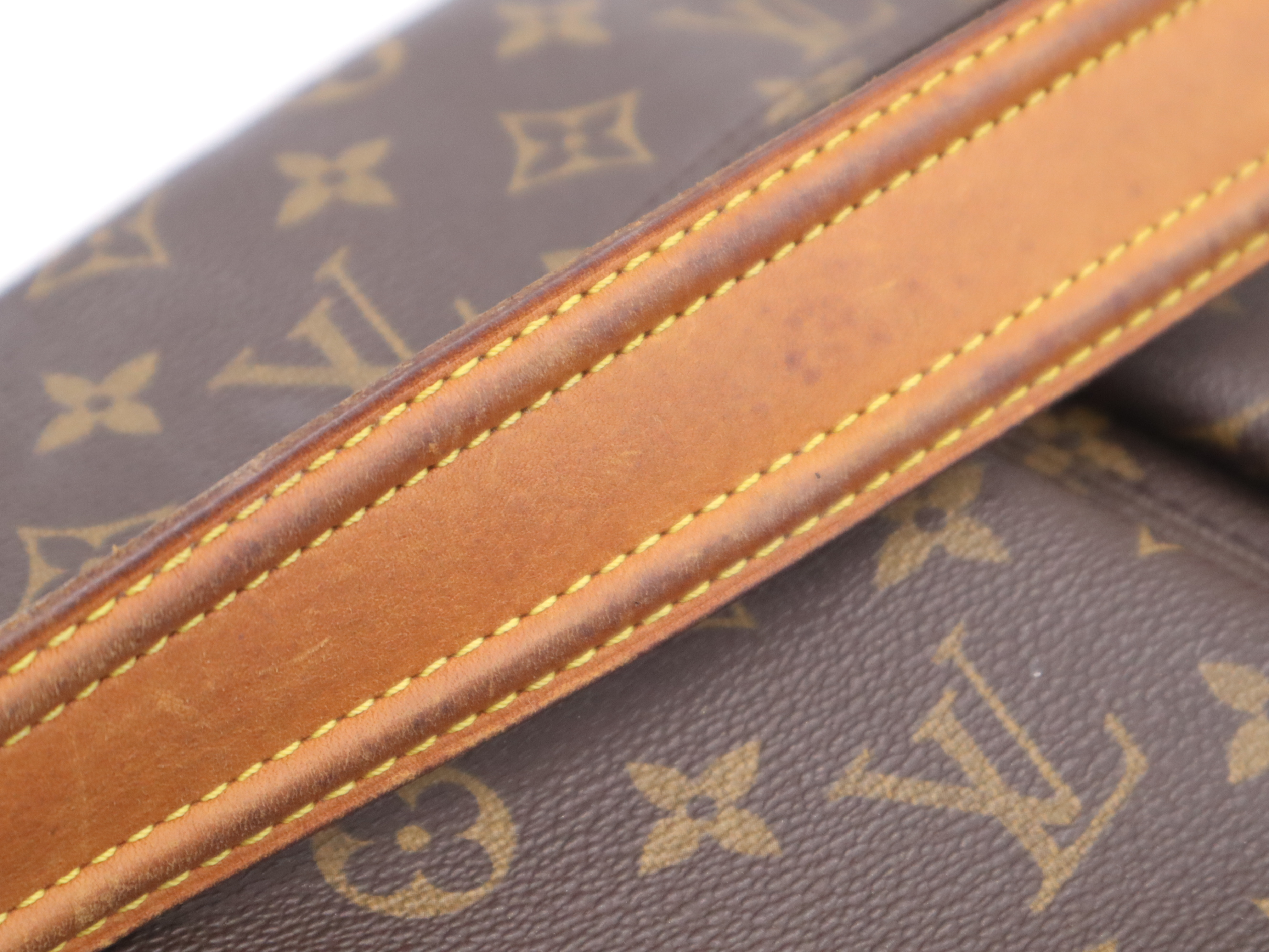 M51163 Monogram Viva Cite GM Shoulder Bag — view 10