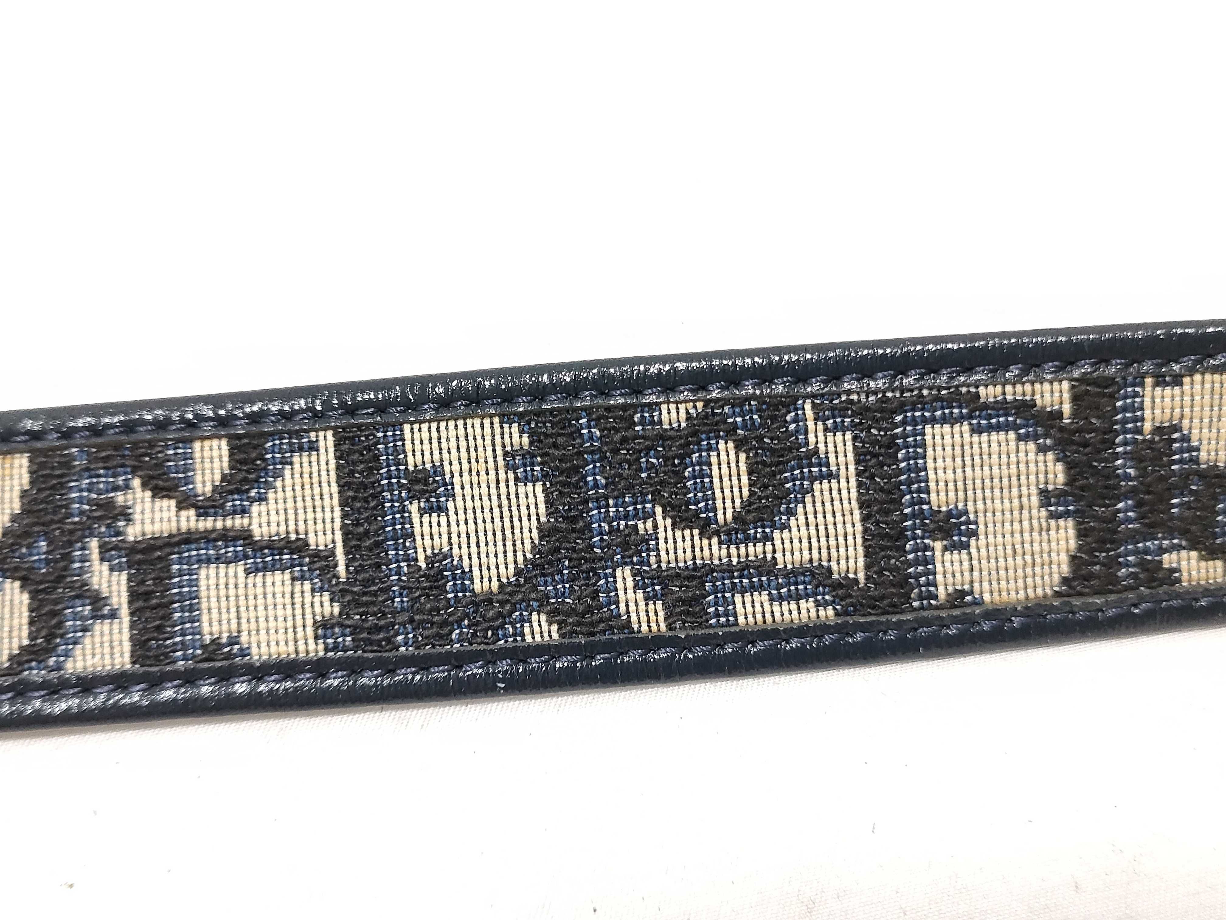 Trotter Belt — view 8