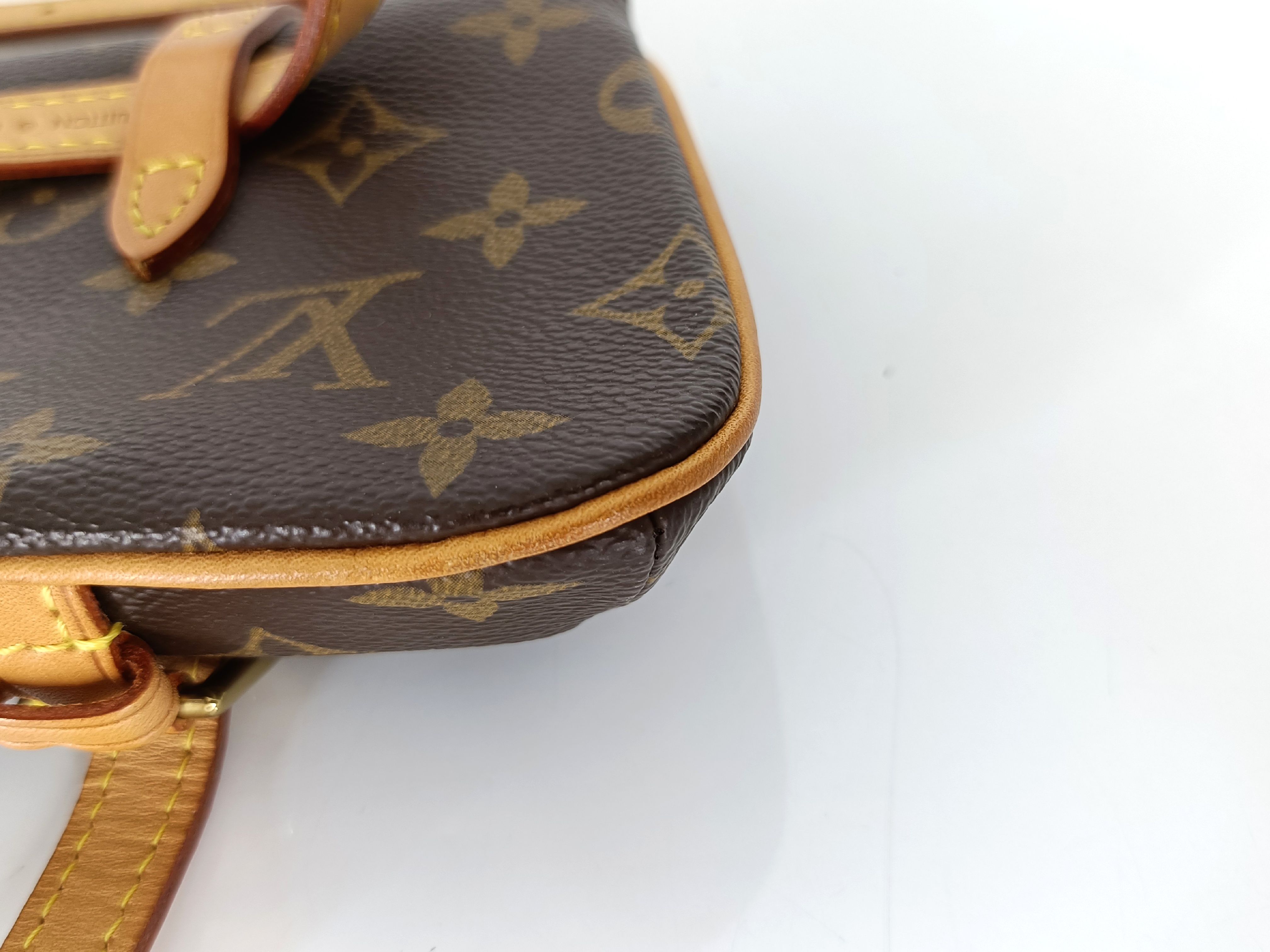 Monogram Pochette Marelle M51159 MI0085 Brown Waist Bag — view 6