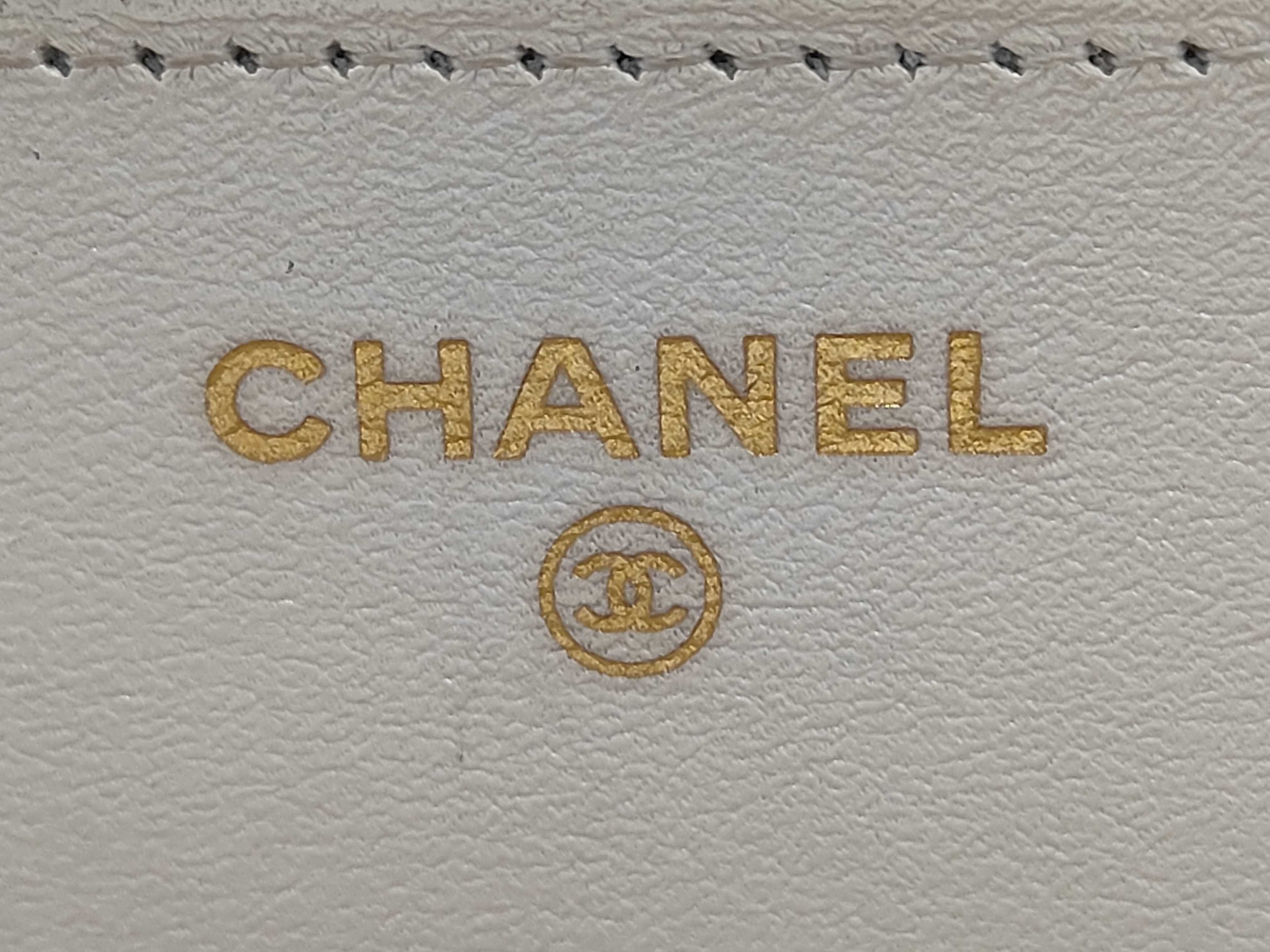 WOC Chain Shoulder Bag — view 10
