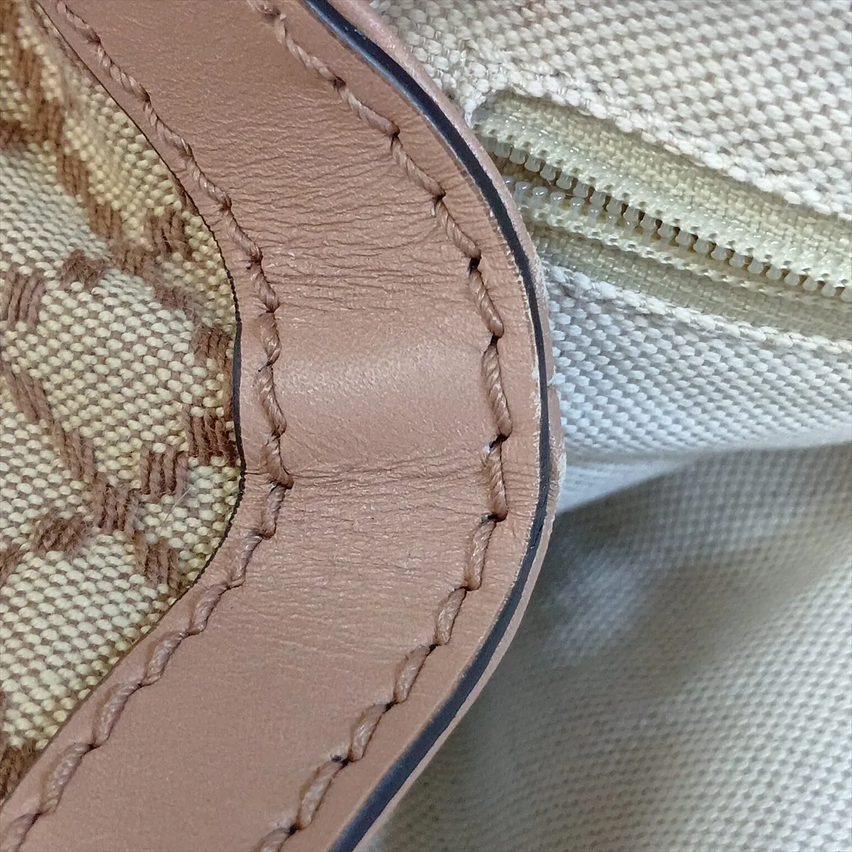 Diamante Sukey 211944 Canvas x Leather Handbag Beige x Pink — view 11