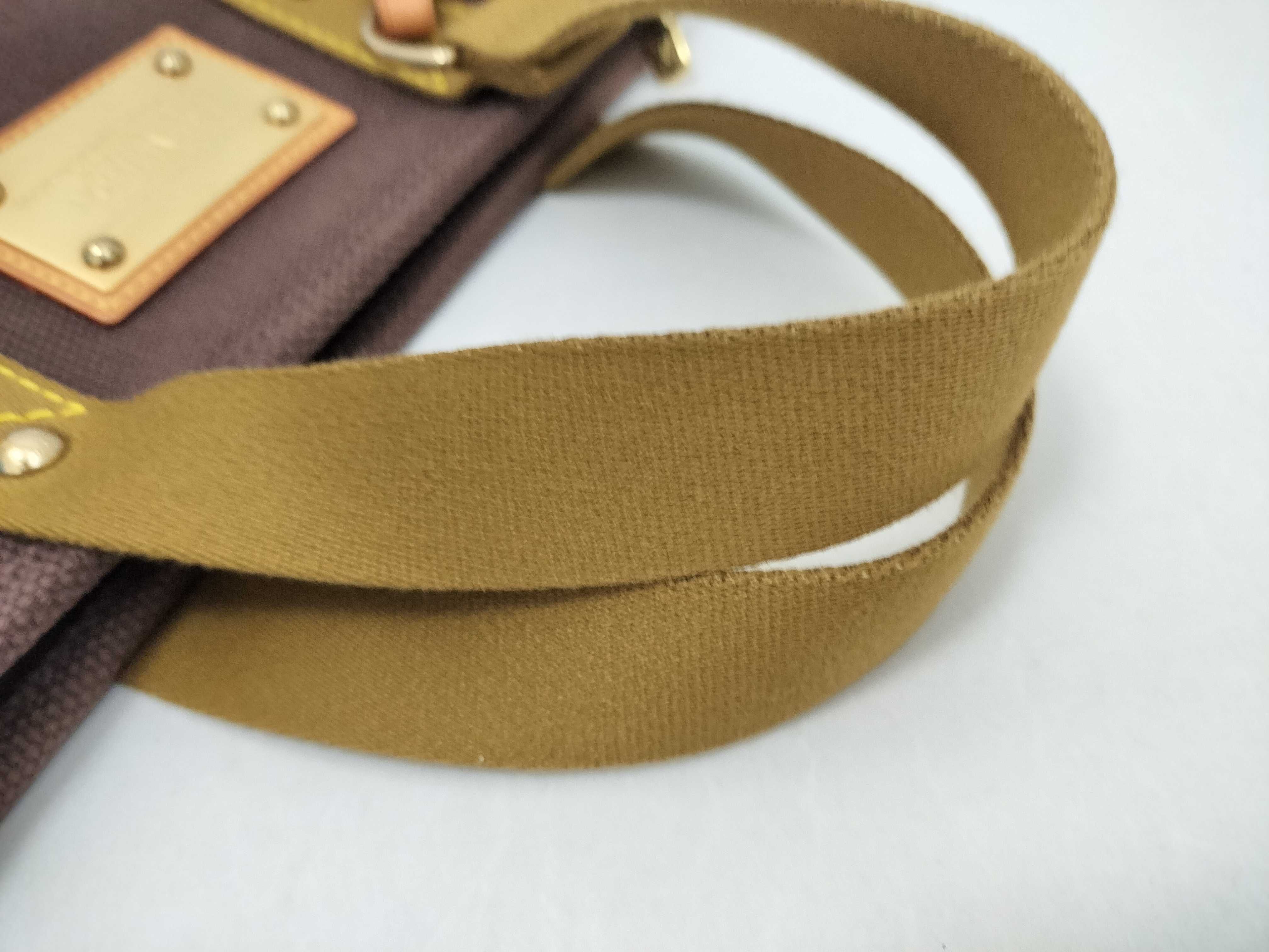 Antigua Cabas PM M40089 FL0016 Handbag — view 4