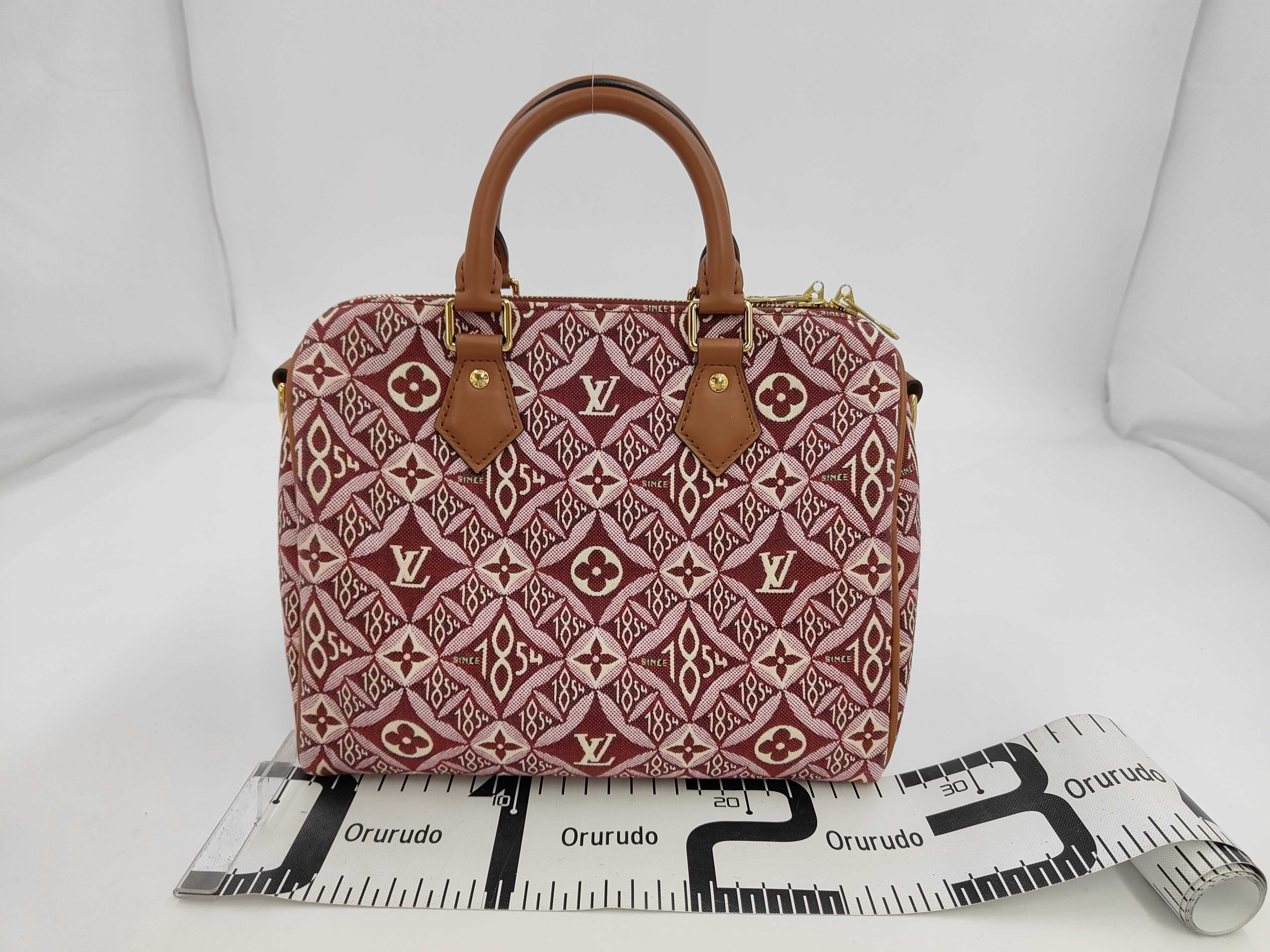 Speedy 25 Shoulder Bag/Handbag — view 2
