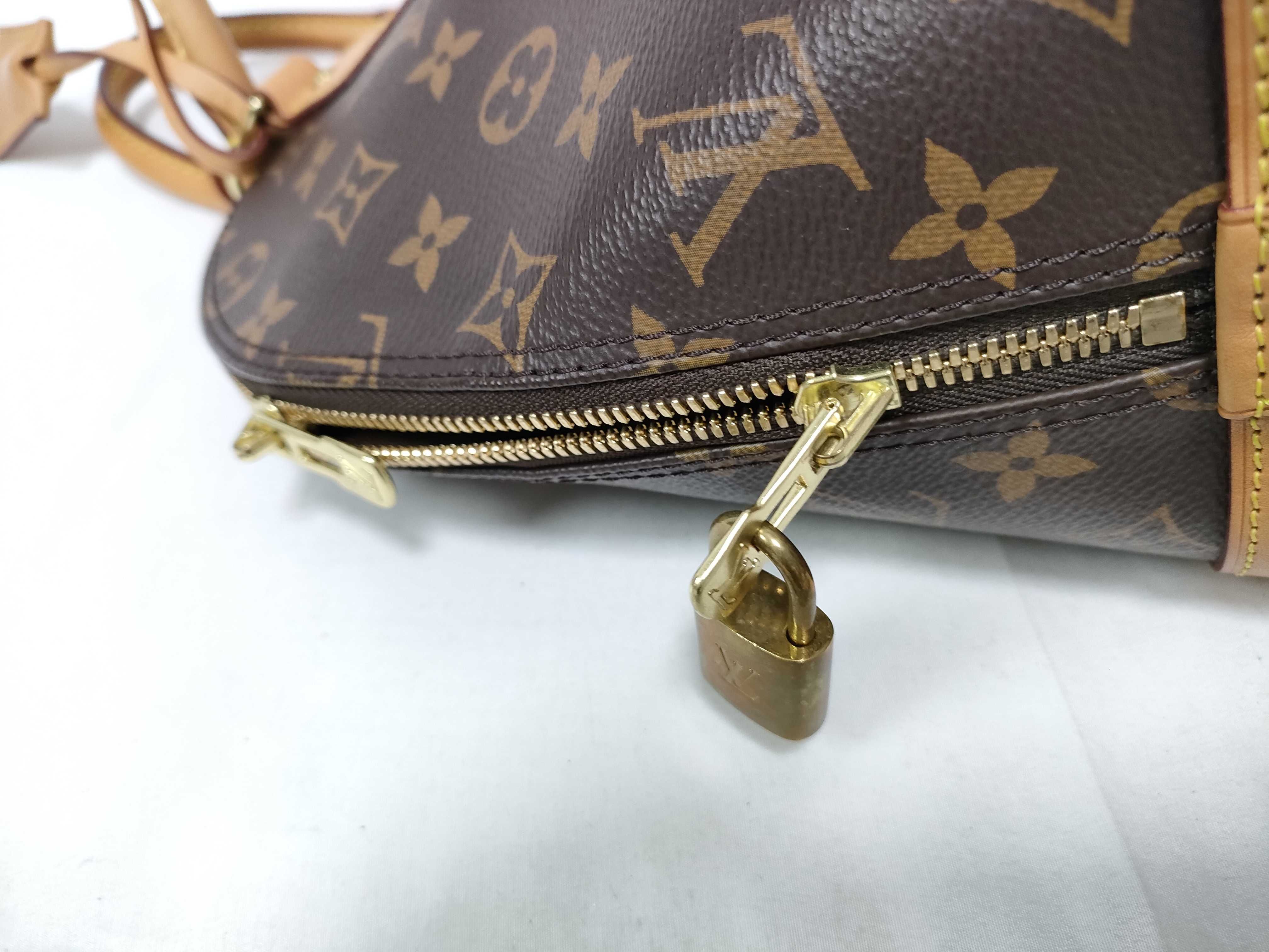 Monogram Louis Vuitton Monogram Handbag Alma PM M51130 Handbag — view 6