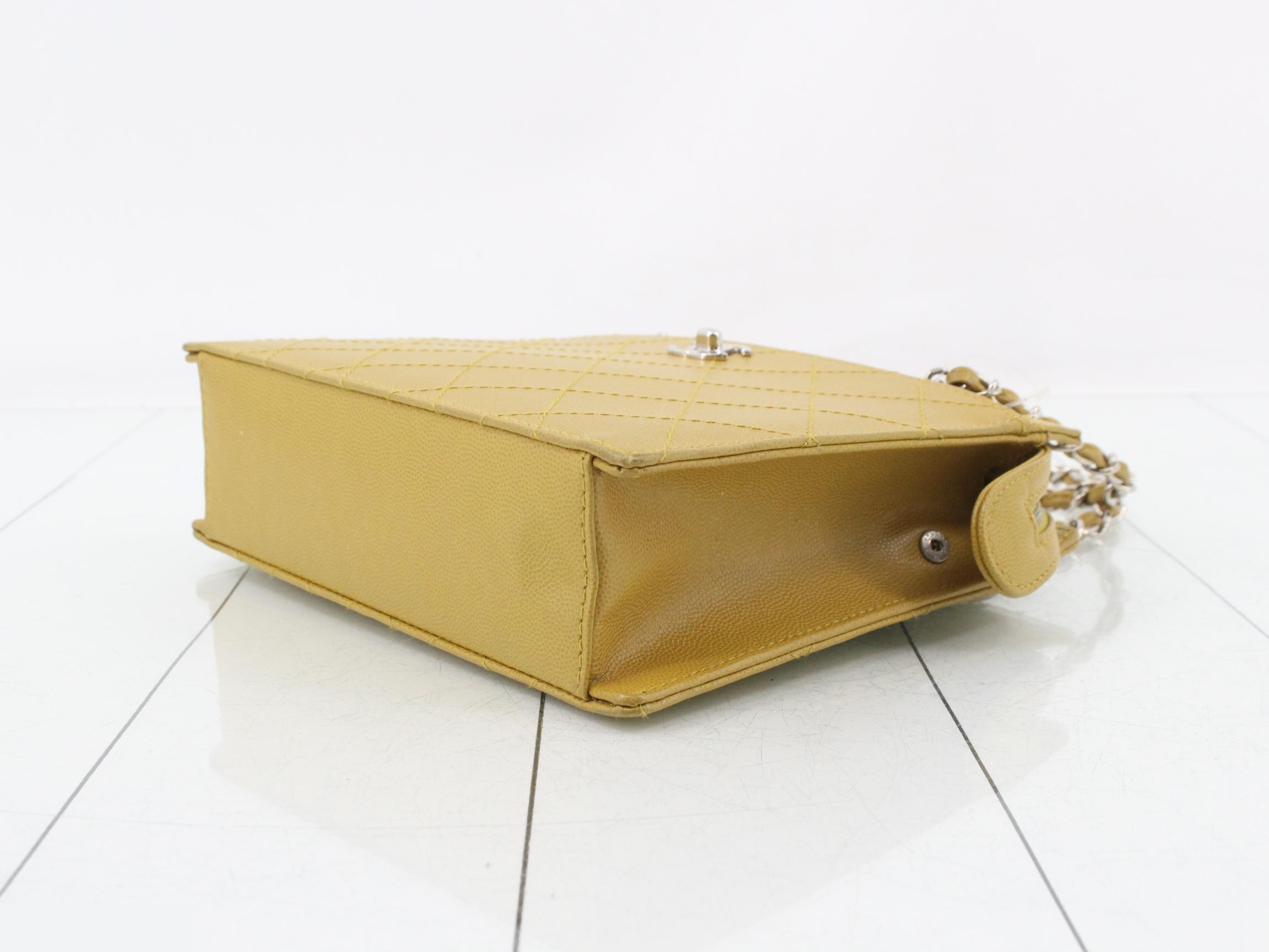 Caviar skin (bag) / handbag — view 6