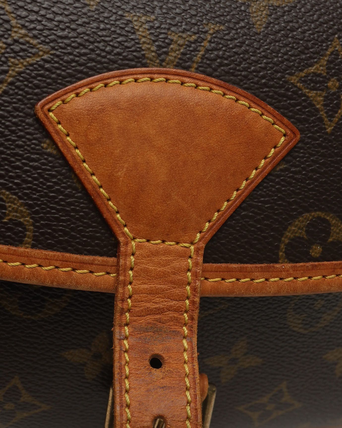 Monogram Sologne Bag — view 8