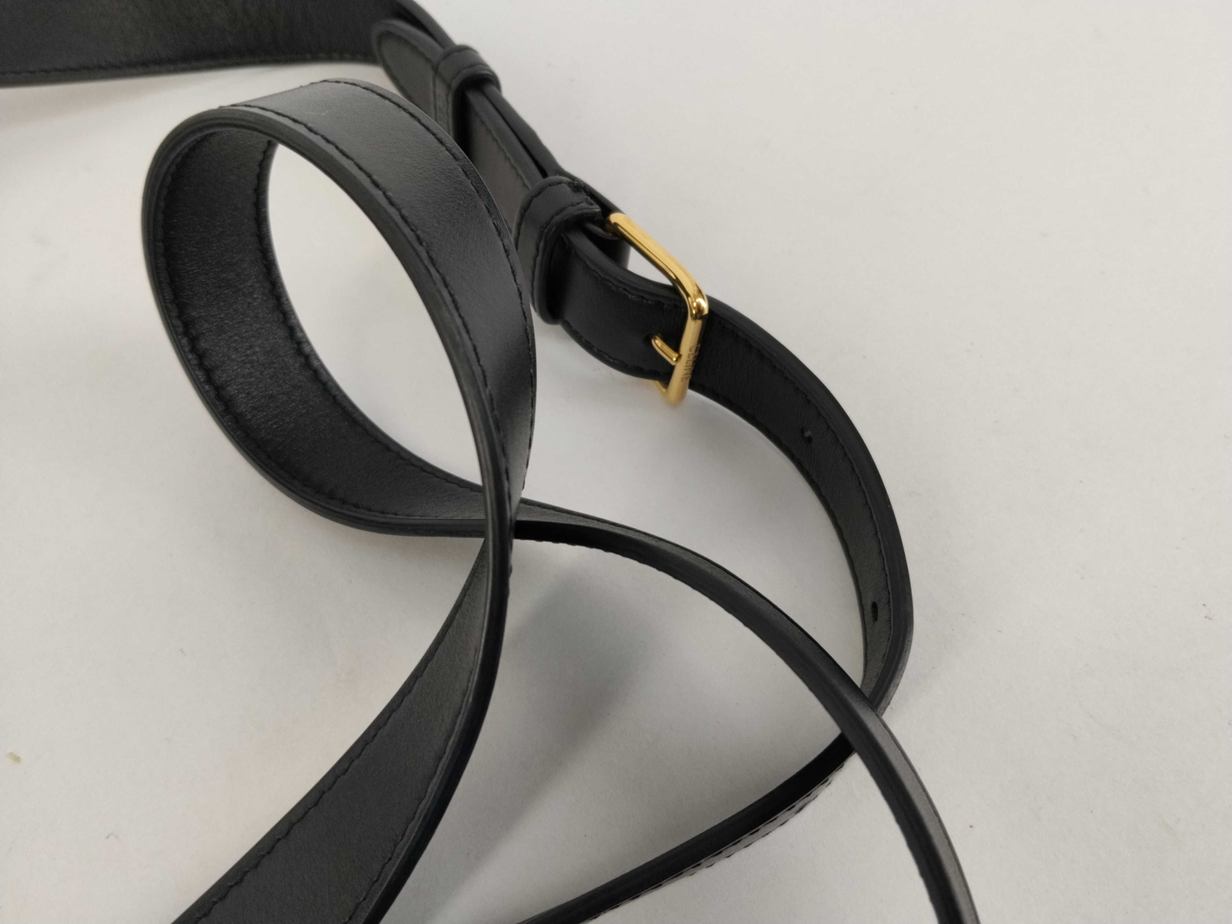 Logo Print Triomphe PVC Shoulder Bag — view 4