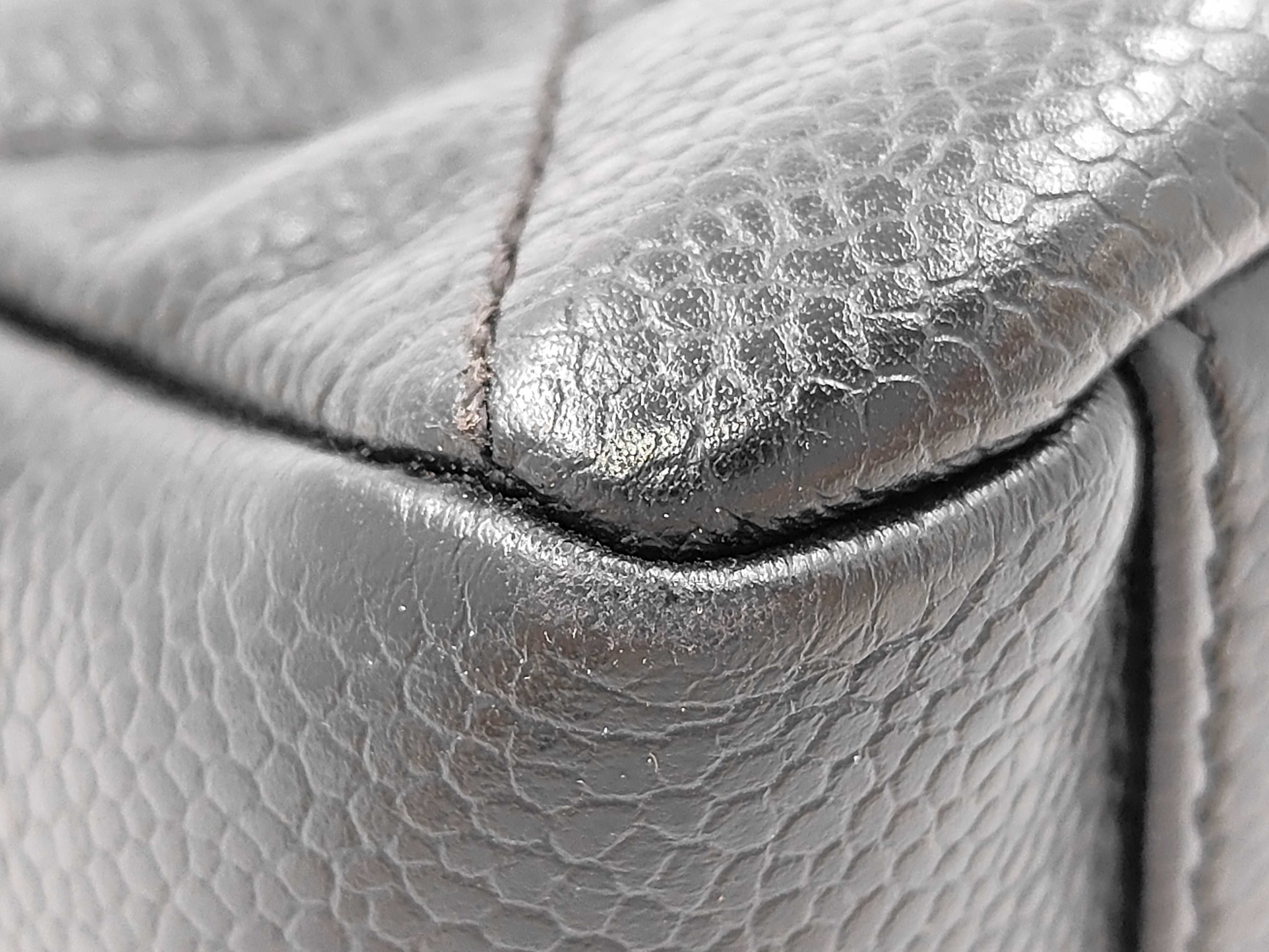 GST Small Caviar Skin Tote Bag (Serial No. 18) — view 4