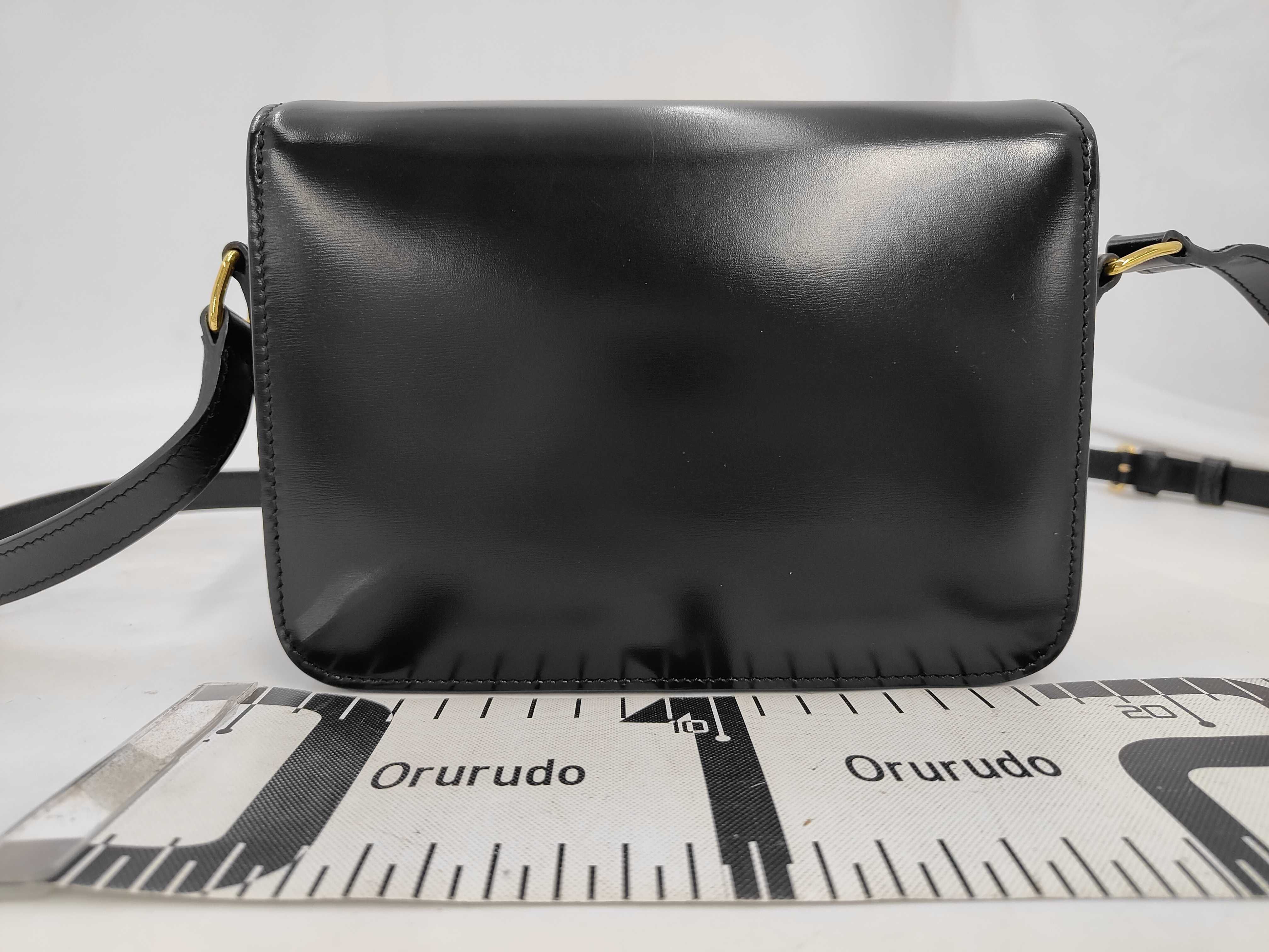 unused, stored item. Official website retail price: ¥583,000. Model number: 188423BF4.38NO. Teen Triomphe bag / Shiny calfskin shoulder bag. — view 2