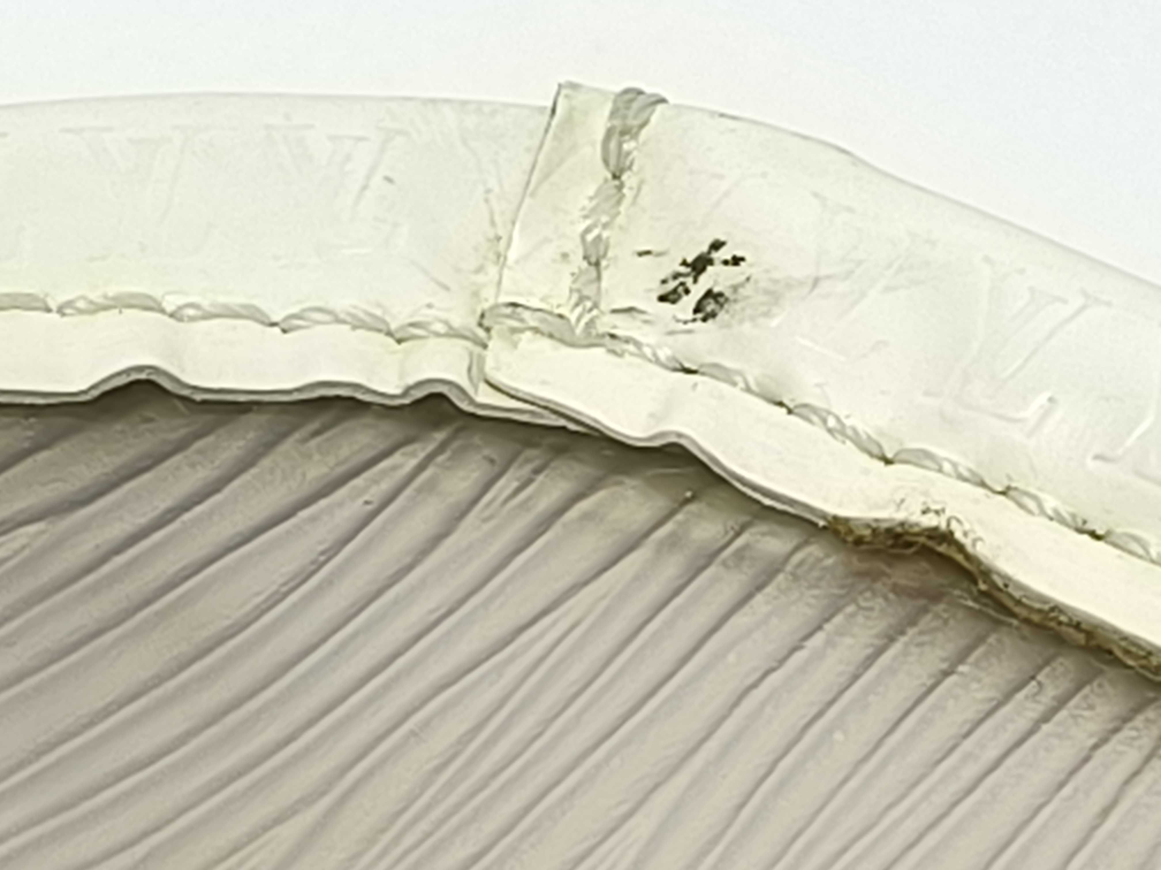 LV Louis Vuitton Epi Plage Clear Tote Bag Handbag — view 14