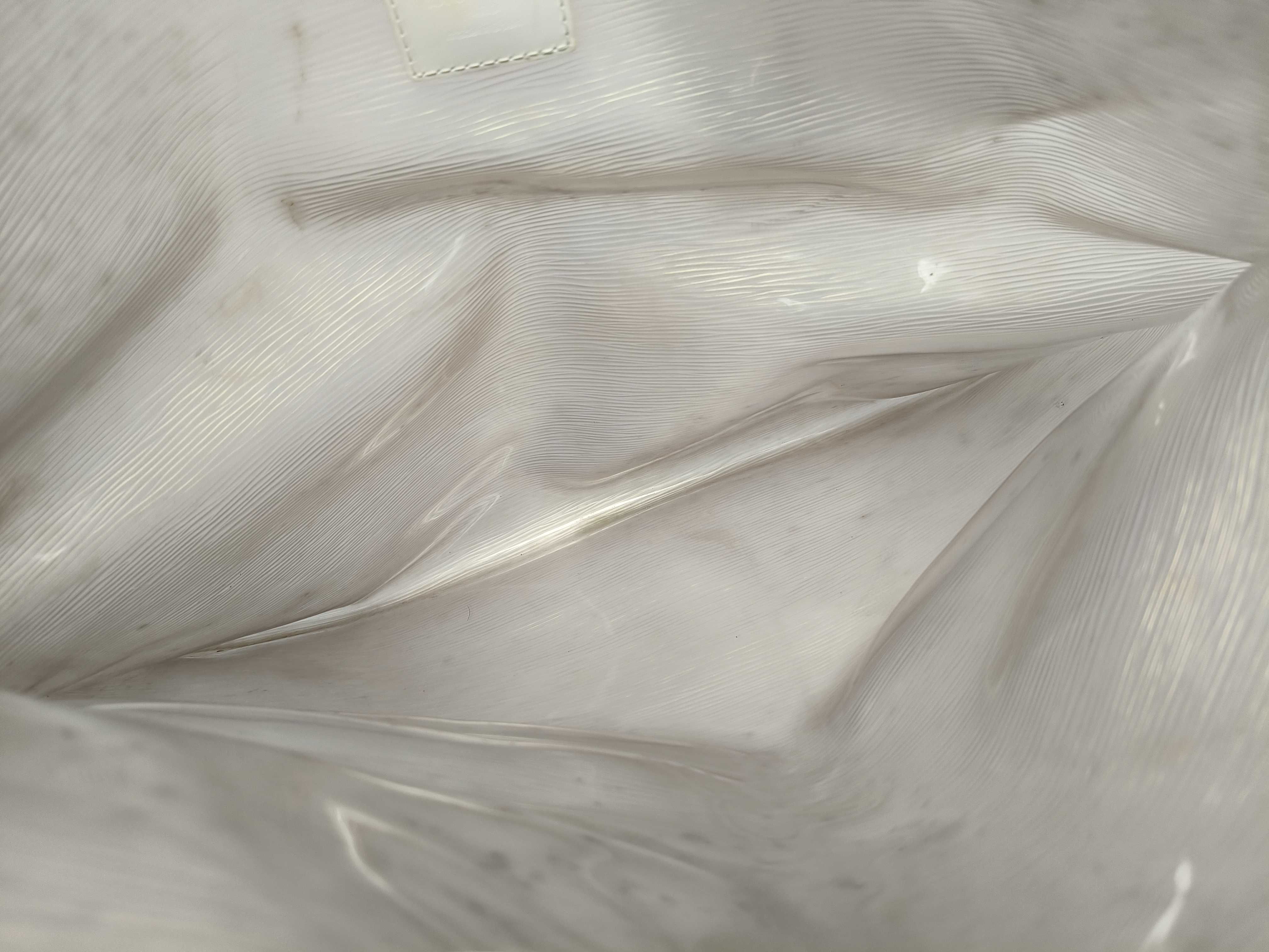 LV Louis Vuitton Epi Plage Clear Tote Bag Handbag — view 9