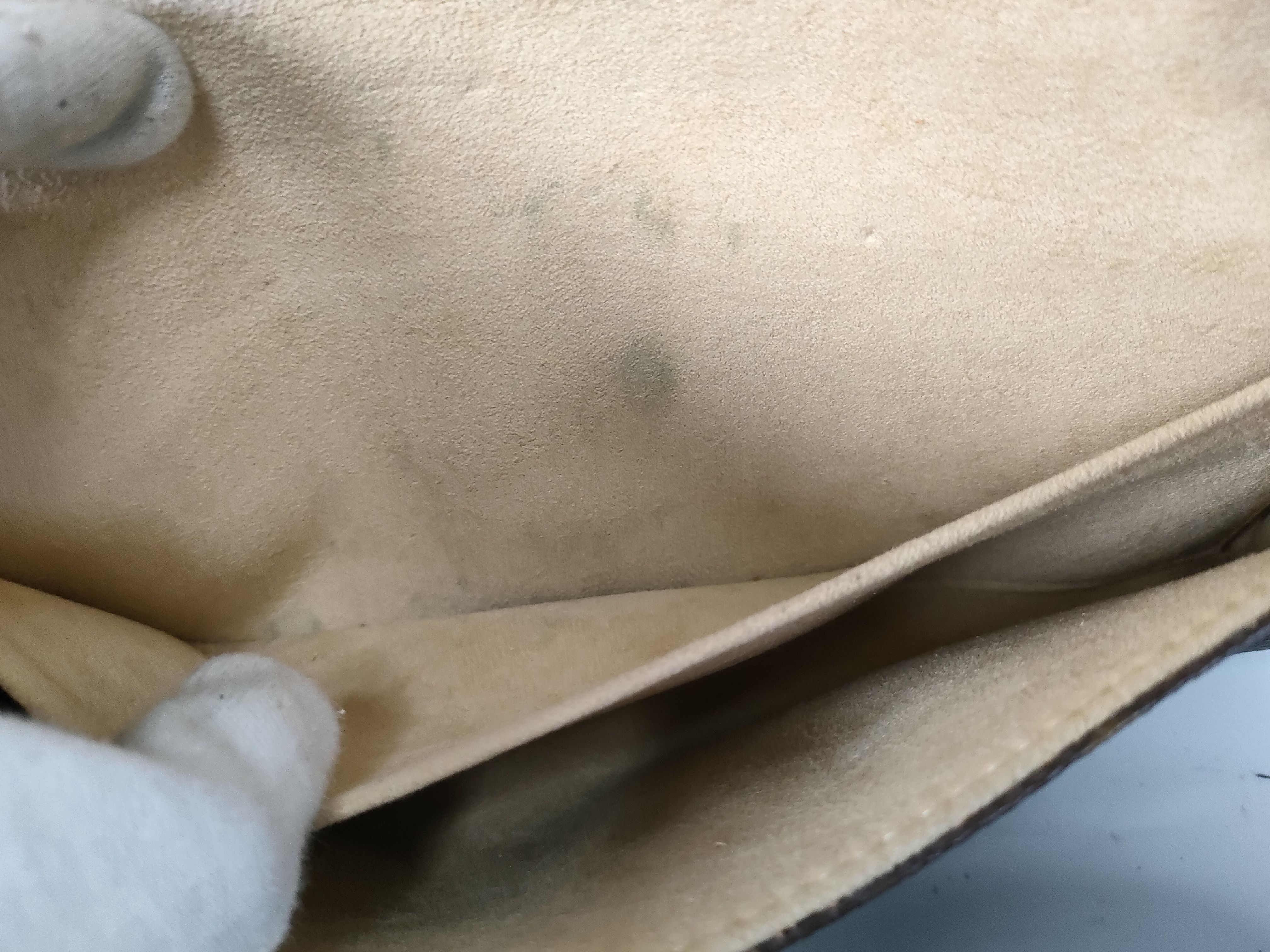 Monogram Vuitton Pochette Twin GM Shoulder Bag — view 12