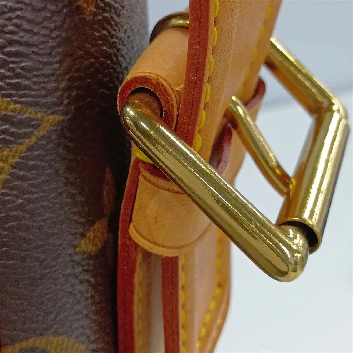 Monogram Vivacite GM M51163 MI0014 Brown — view 13