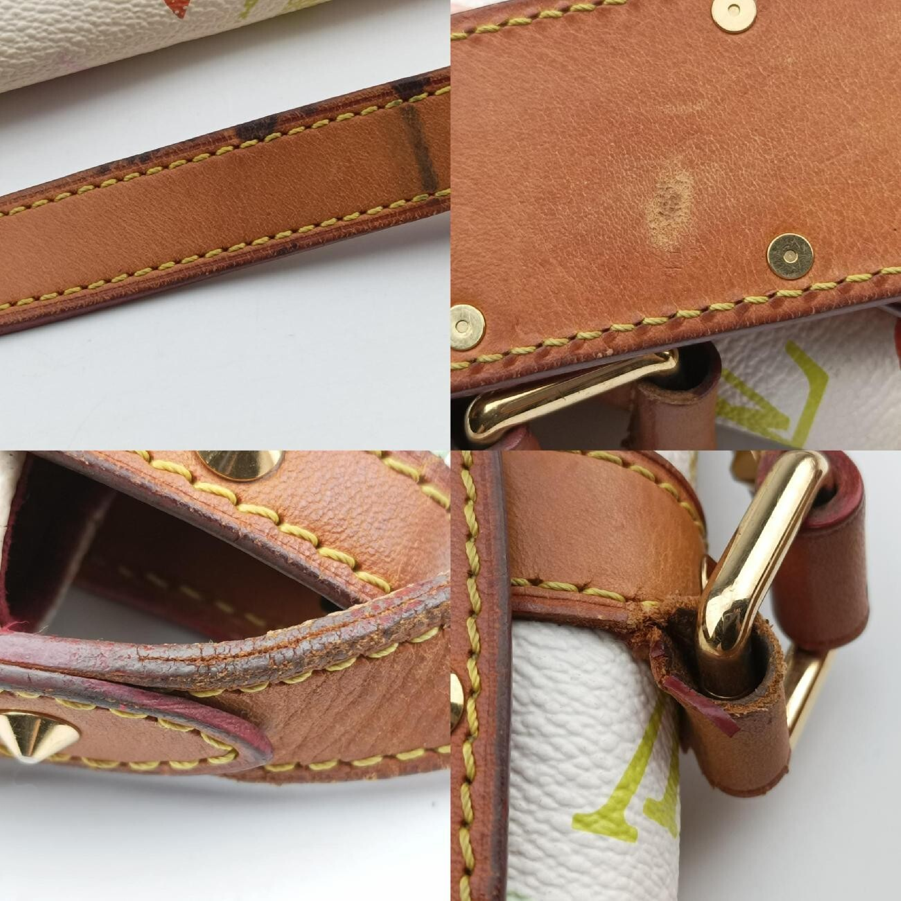 Sologne Blanc Monogram Multicolor M92661 VI0074 Shoulder Bag — view 11