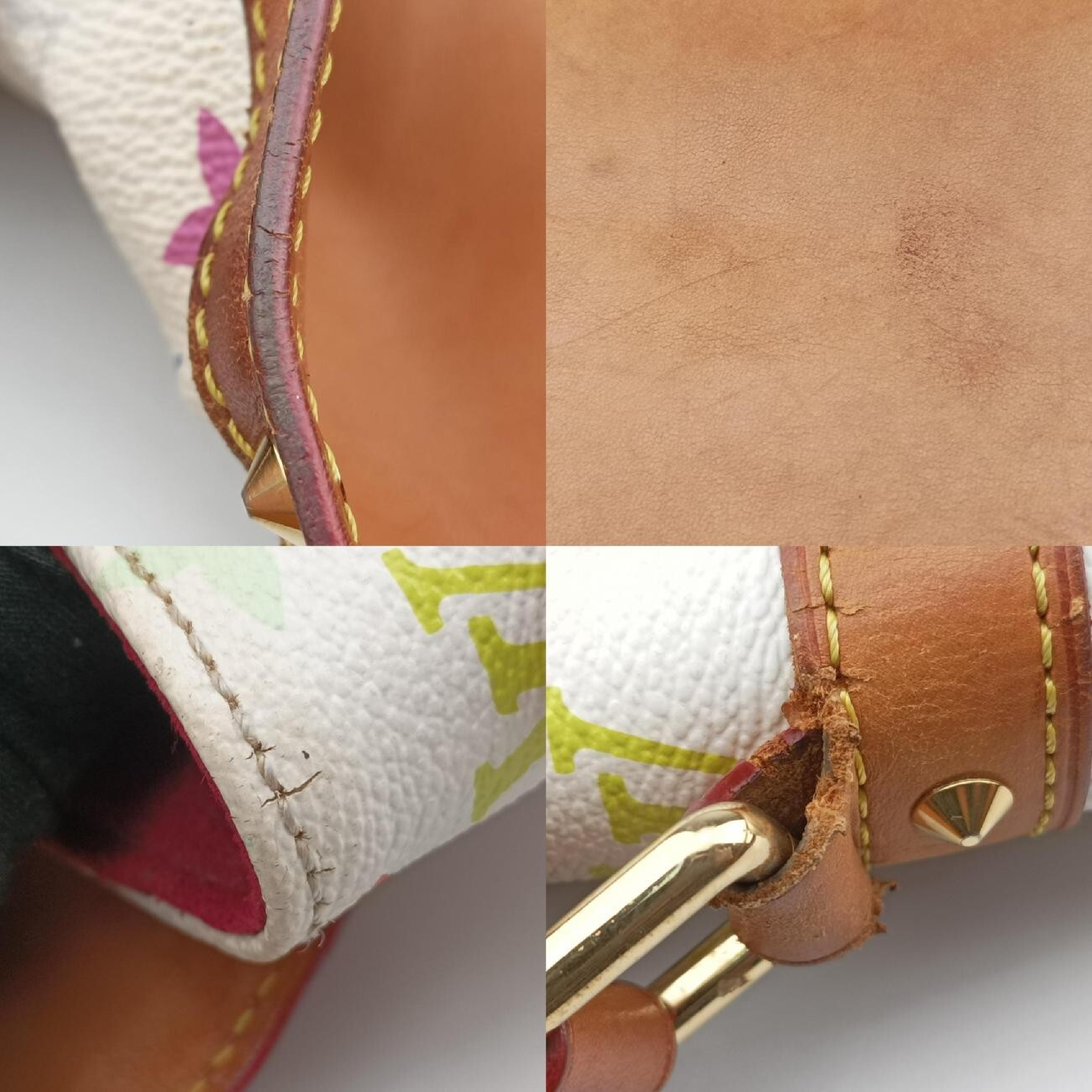 Sologne Blanc Monogram Multicolor M92661 VI0074 Shoulder Bag — view 9