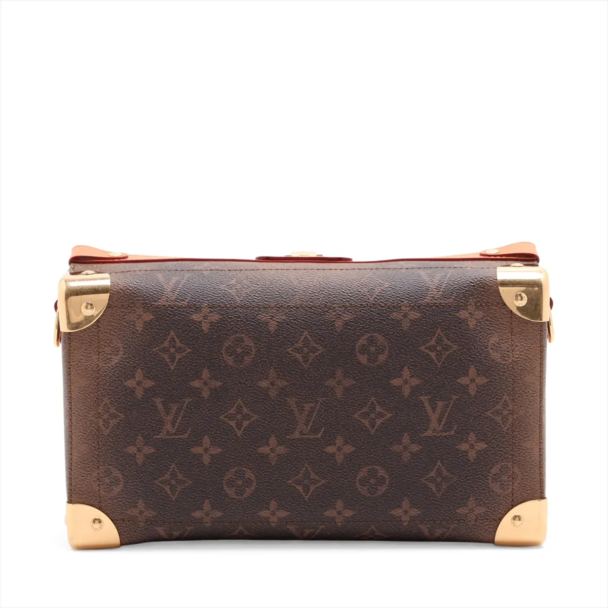 Monogram Dust Soul Trunk EW M11536 Brown (RFID detected) — view 2