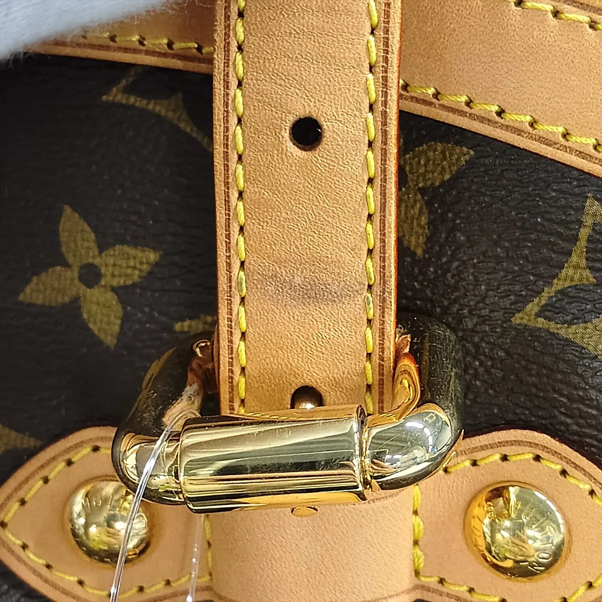 Monogram Tivoli GM M40144 SP4100 Brown — view 14