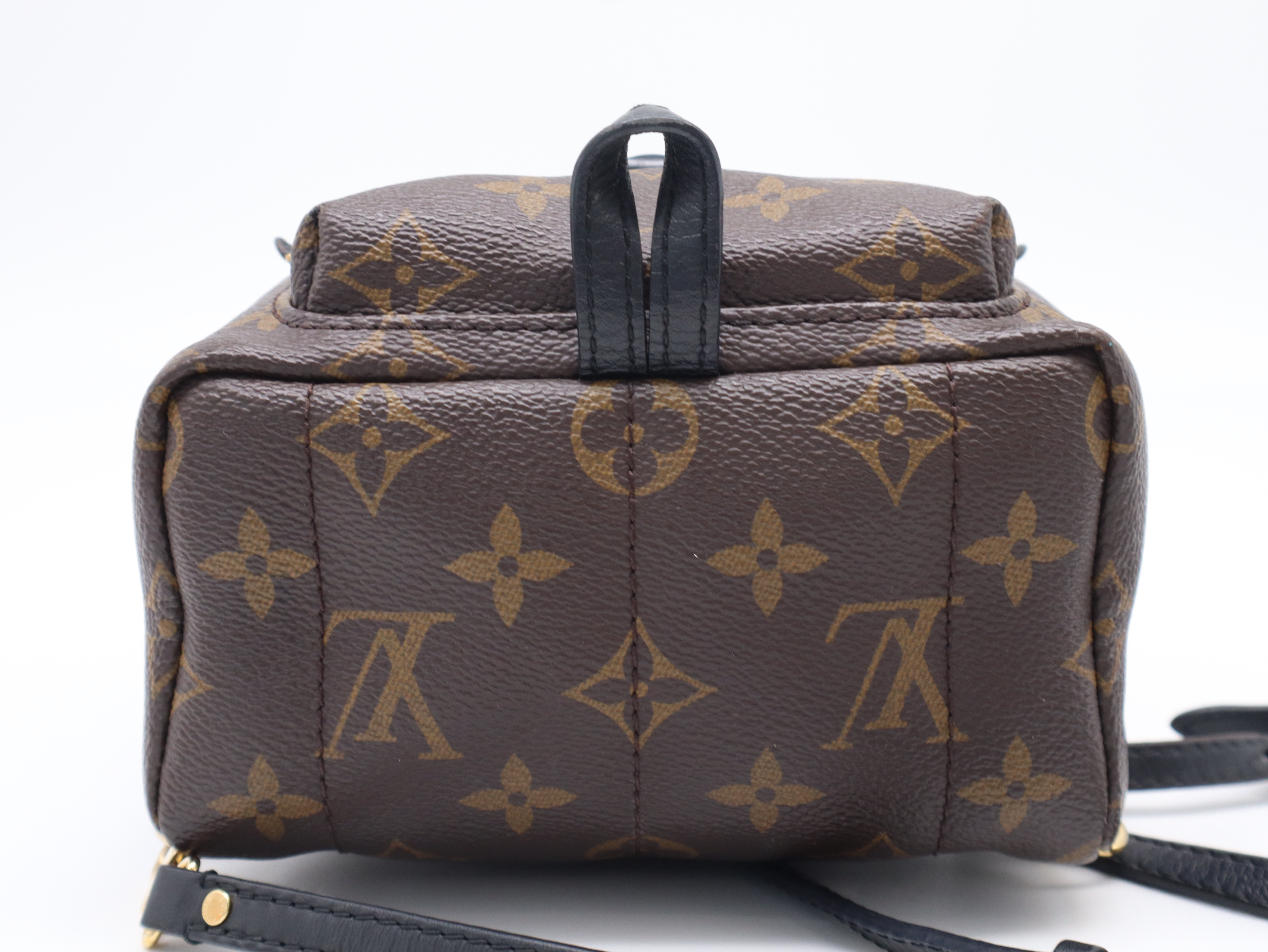 M44873 Monogram Palm Springs MINI Backpack with Dust Bag — view 4