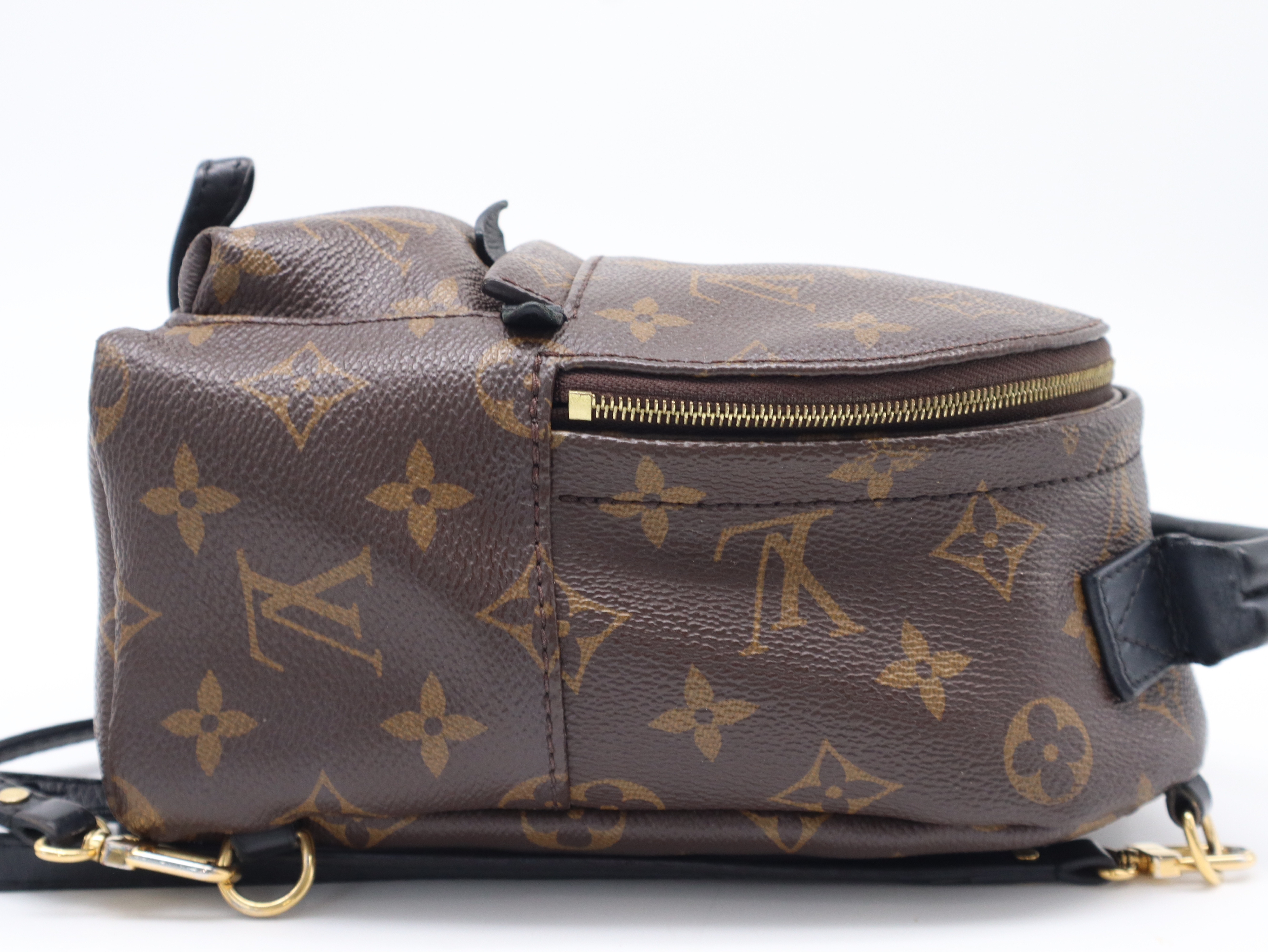 M44873 Monogram Palm Springs MINI Backpack with Dust Bag — view 5